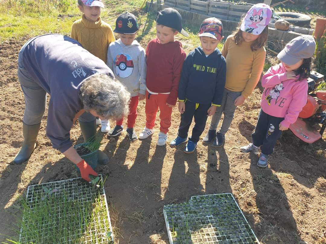 Plantação da hortícolas na nossa horta