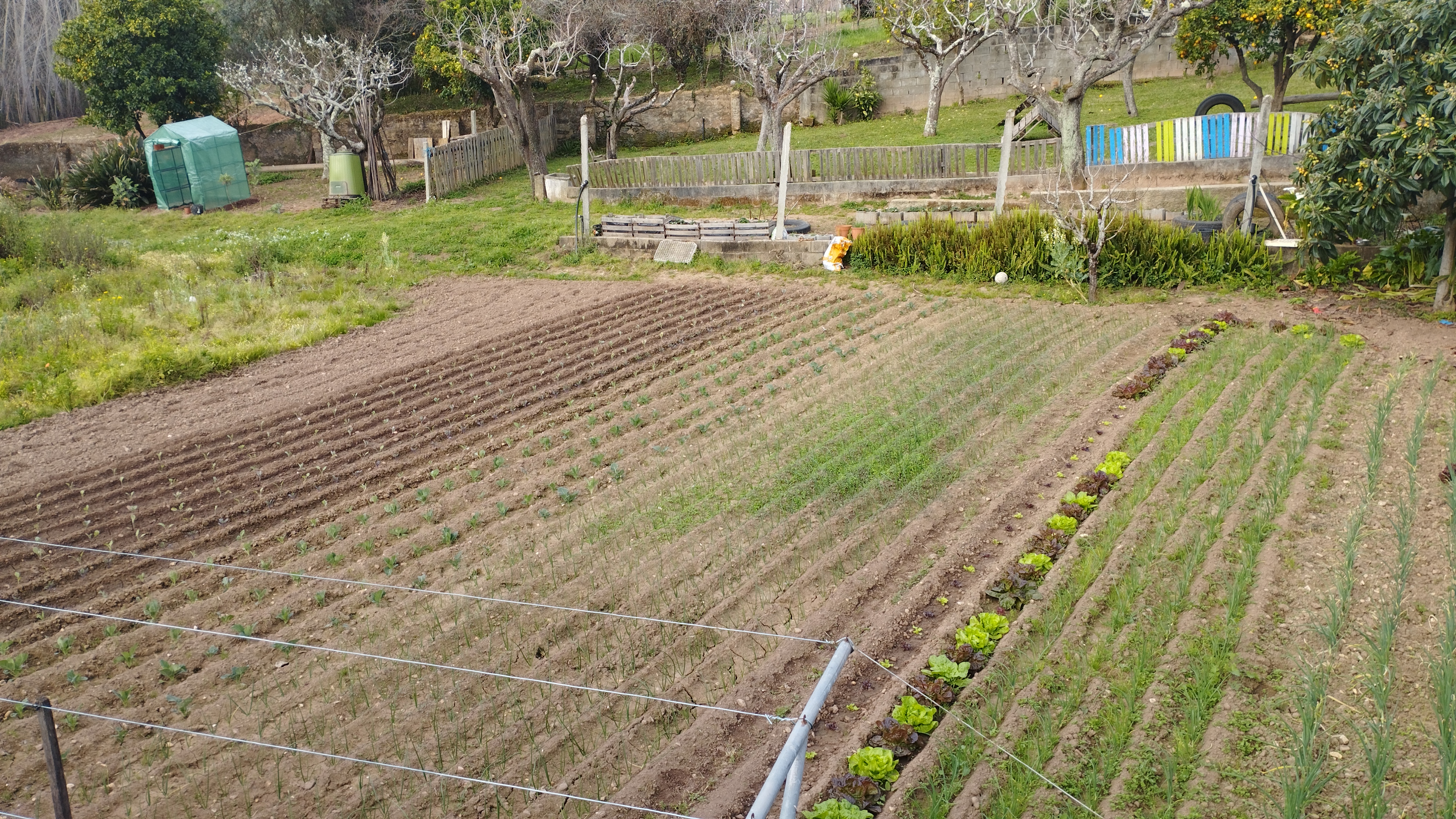 Parte da nossa horta c/ a estufa e compostagem