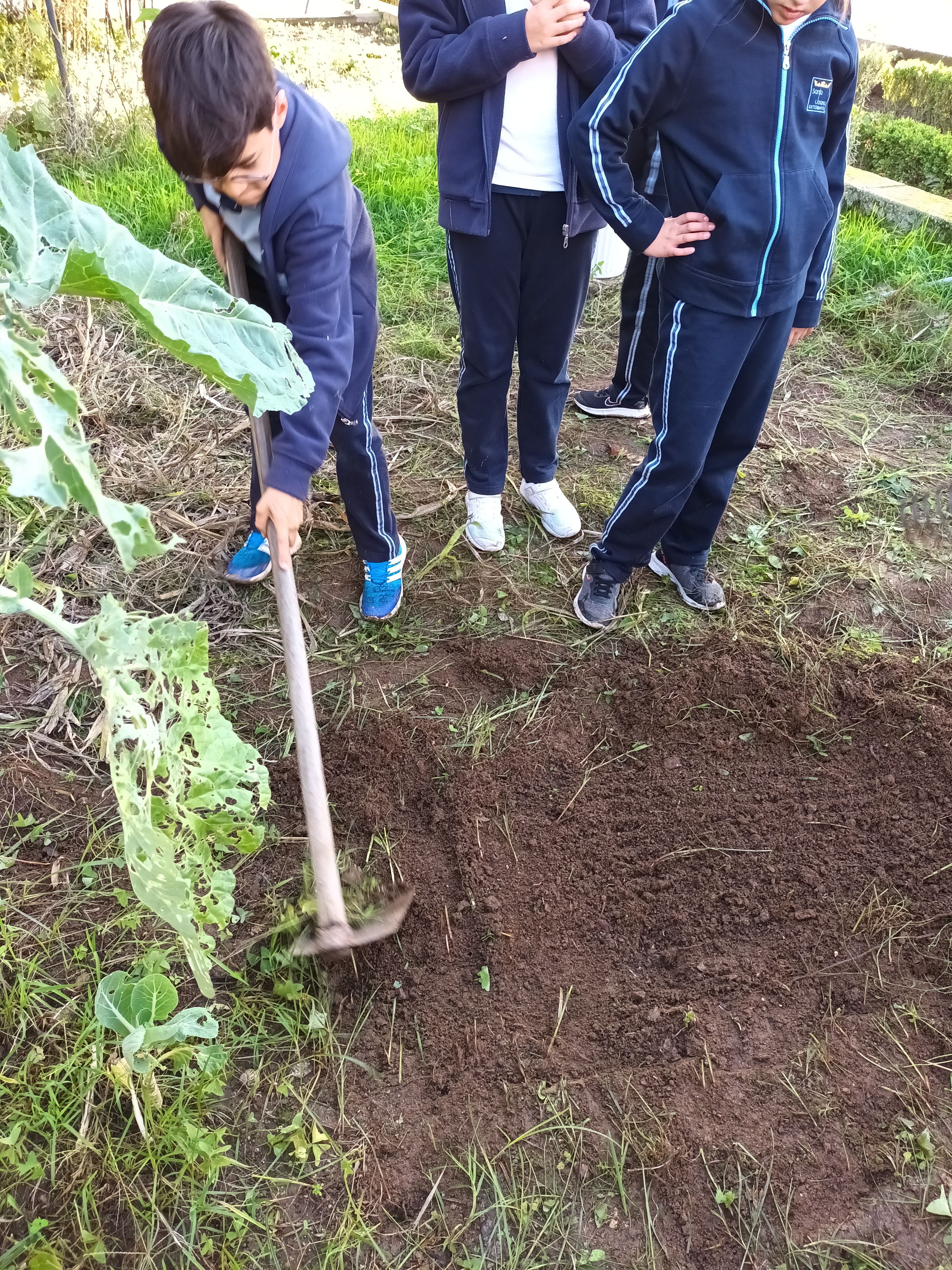 Preparação da terra.
