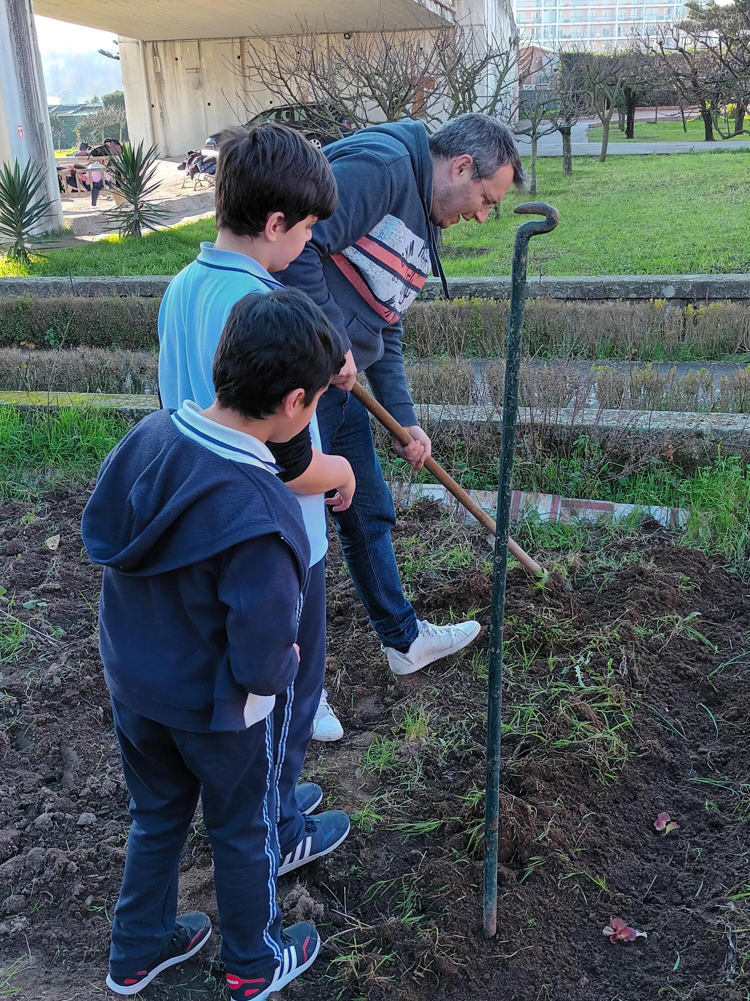 Semear e plantar: alfaces, couves, beterraba, alho francês, penca e couve.