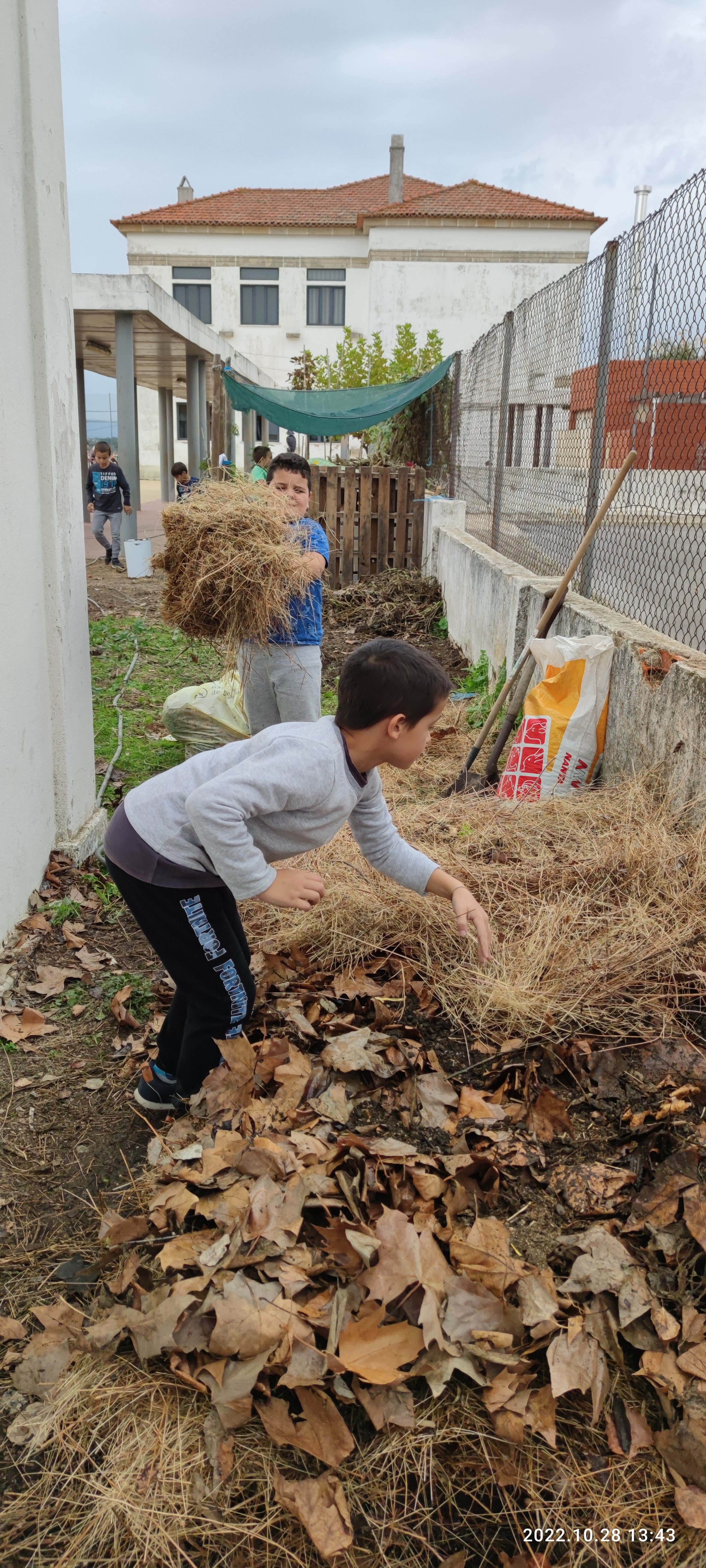 Montagem da 1ª pilha de compostagem