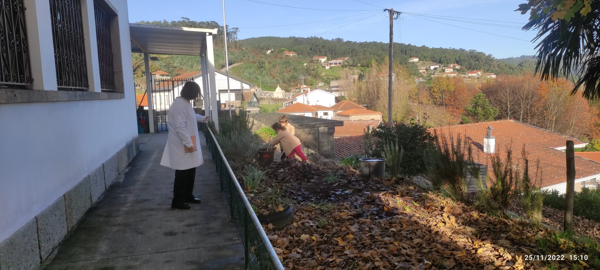 Aproveitamento de todos os espaços para a colocação de sementes.