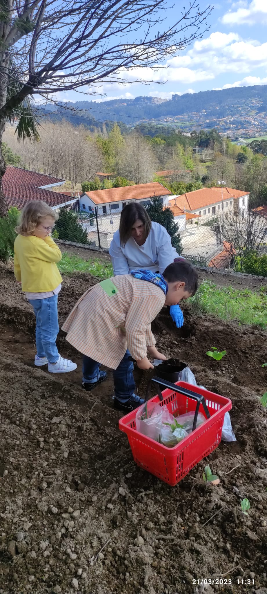Na nossa horta agora temos:alface, courgetes, pimentos, alho francês, abóborinhas, abóboras etc.