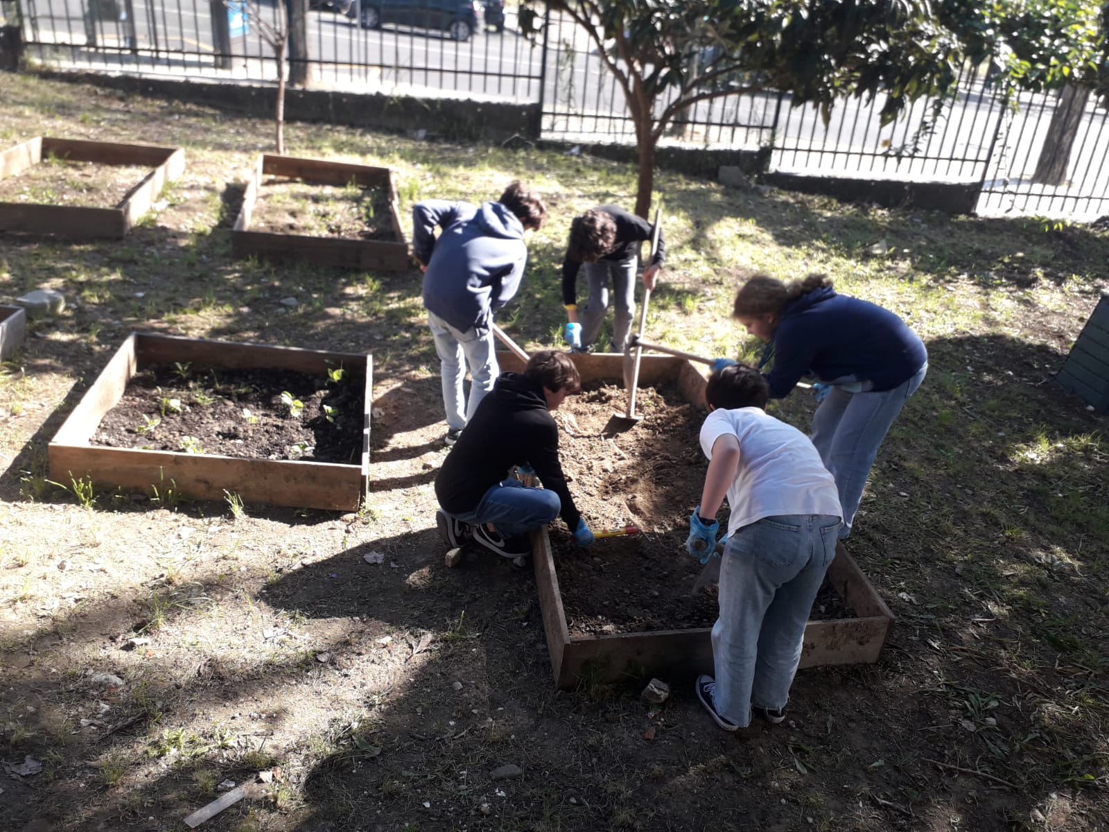 Preparação do terreno
