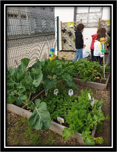 Horta