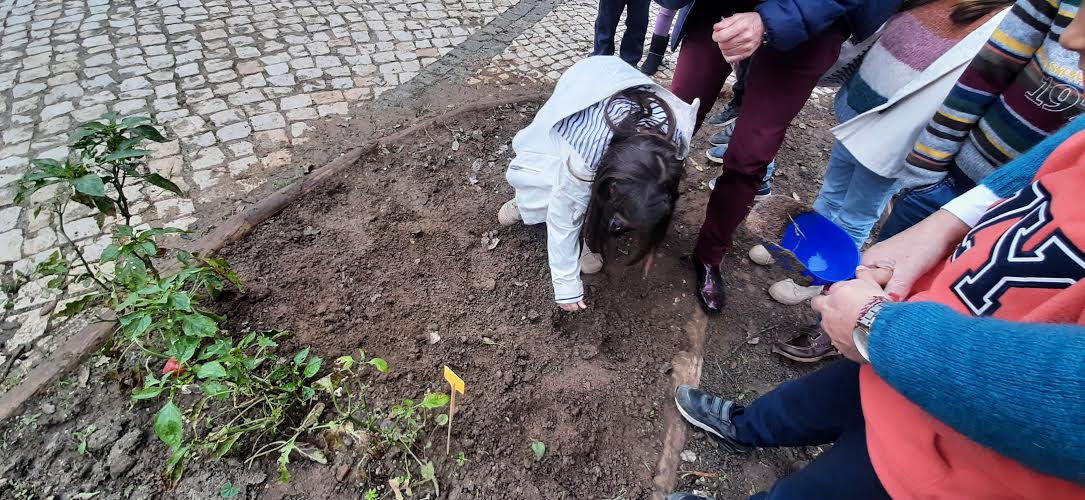 Os mais pequeninos...
Os alunos do Jardim de Infância semearam rabanetes e fizeram contagens com as sementes!