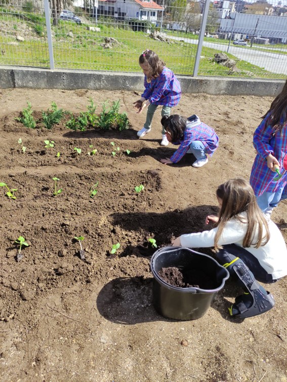 Mais plantações do mês de março.