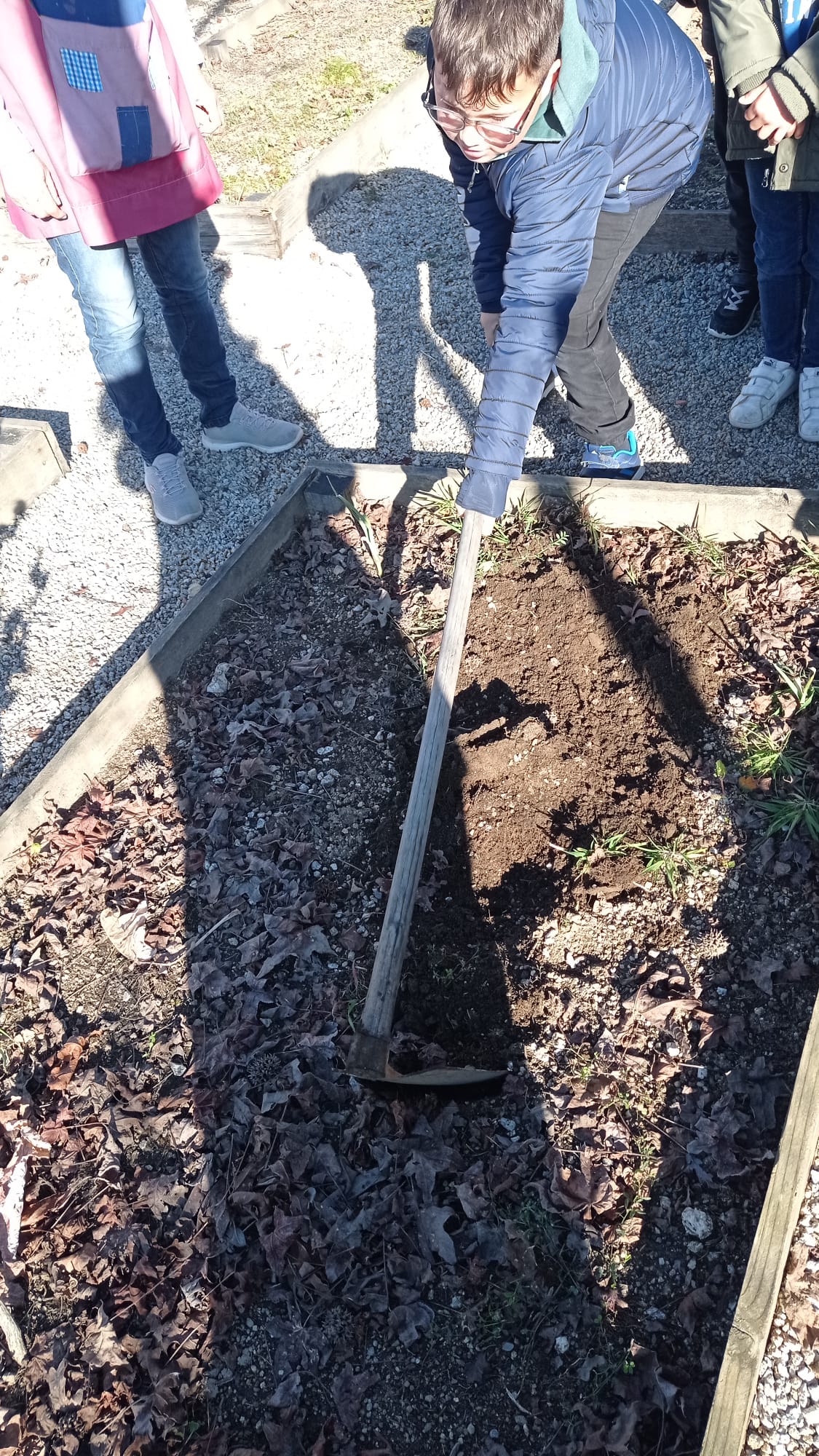 Preparação da terra dos canteiros para começarmos a semear e a plantar.