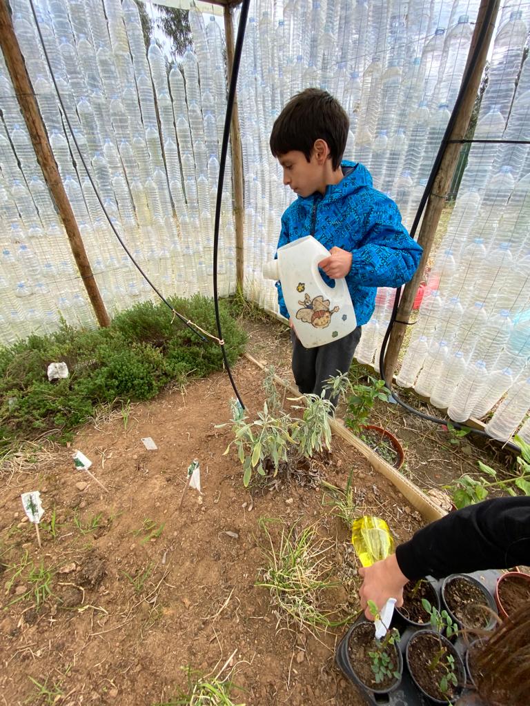 Rega manual das plantas