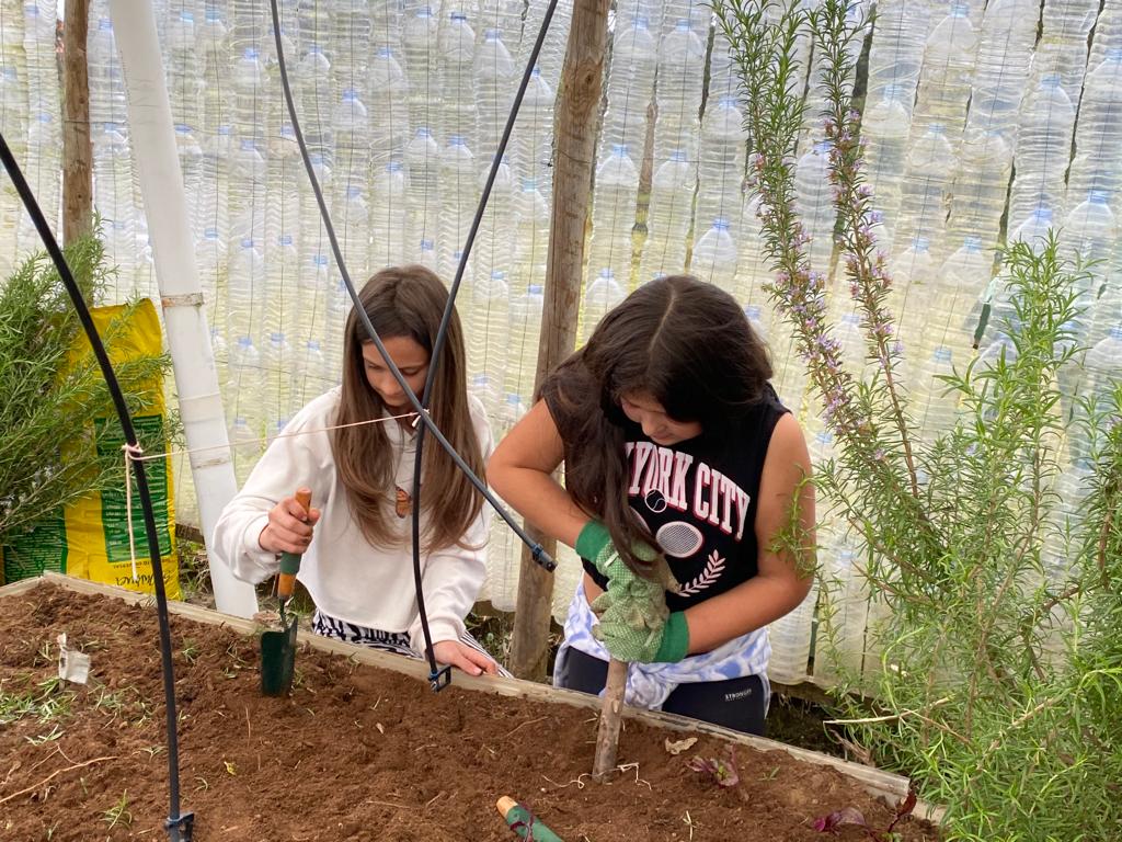 Preparação da terra para plantação
