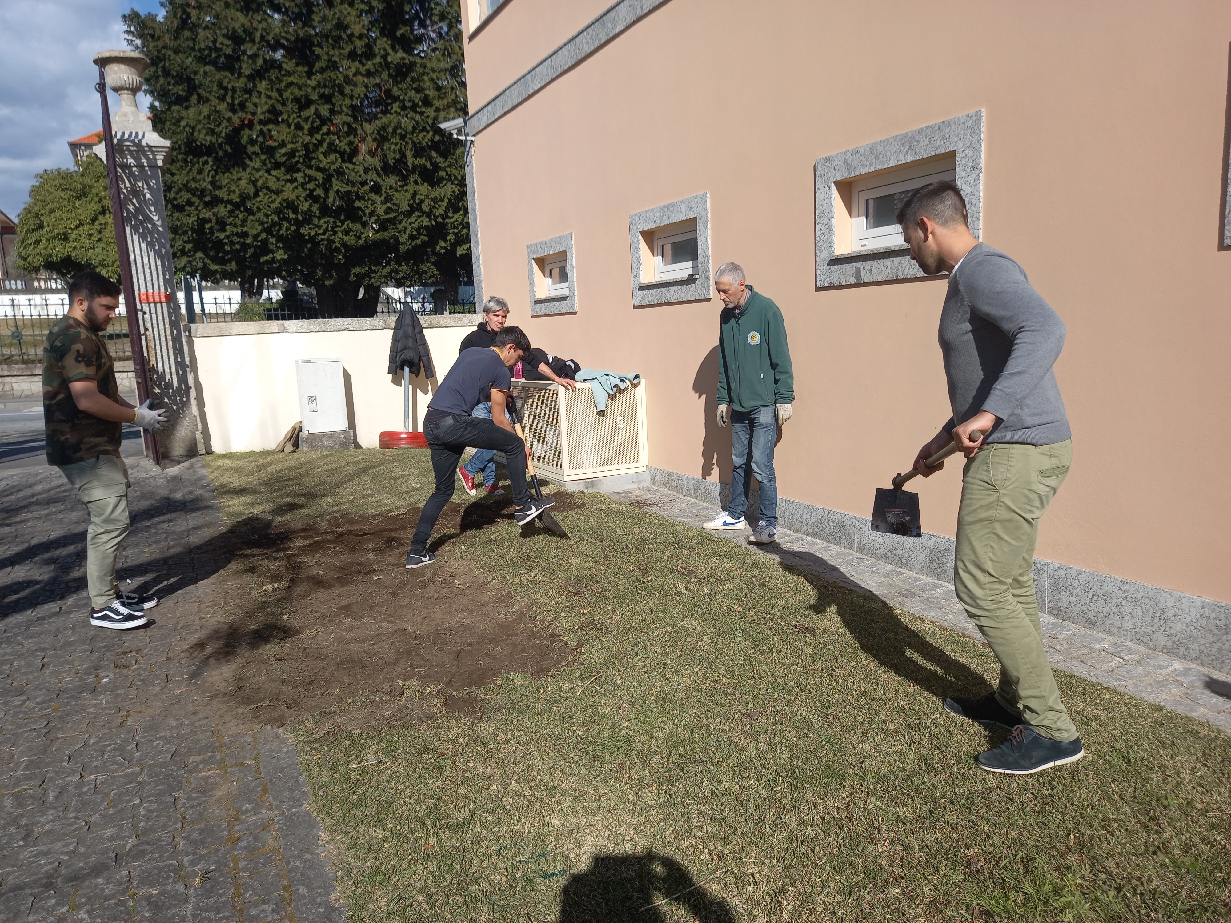Preparação do terreno: retirar a relva.
