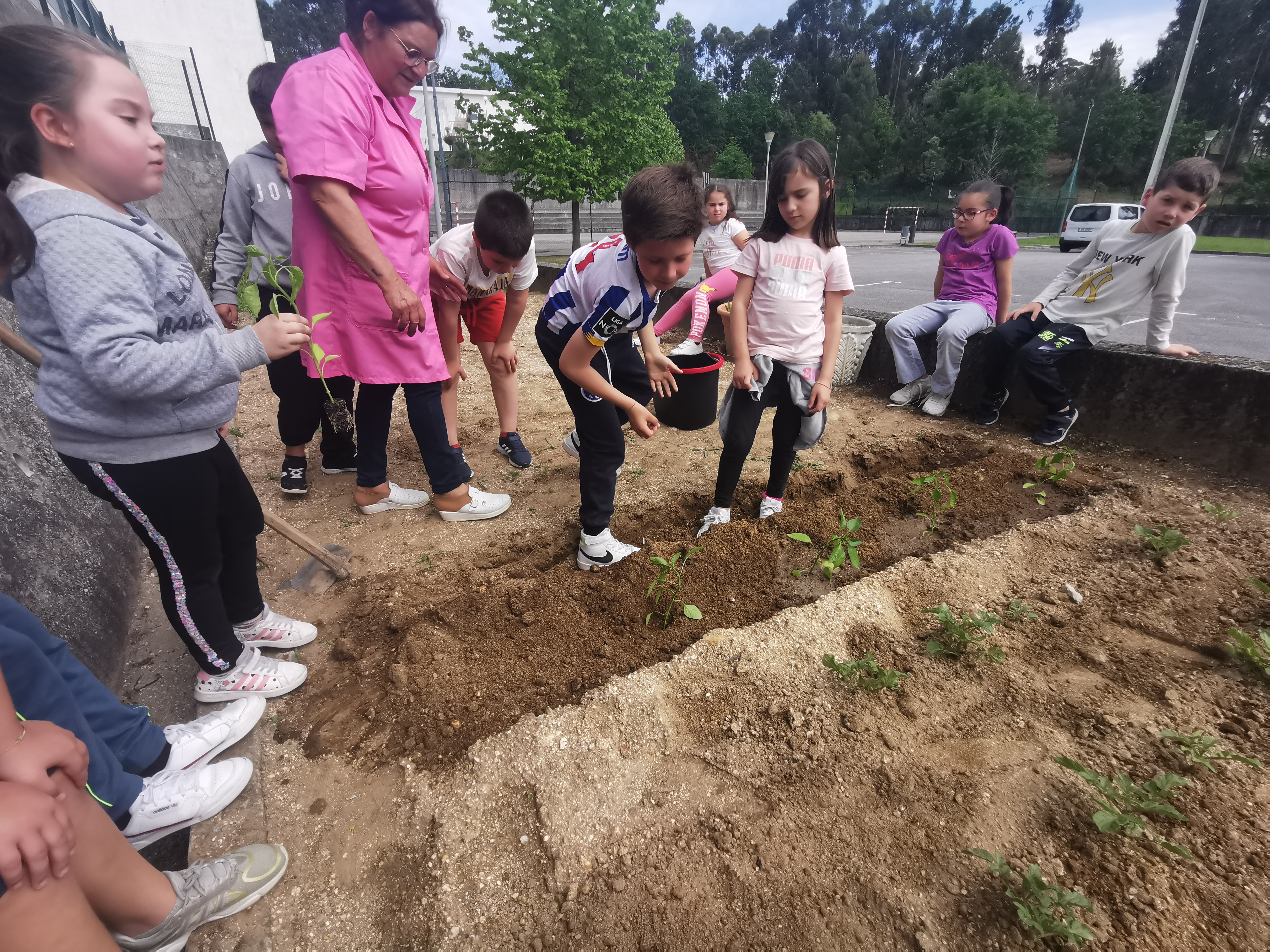Como devemos proceder para que as plantas crescem saudáveis.
