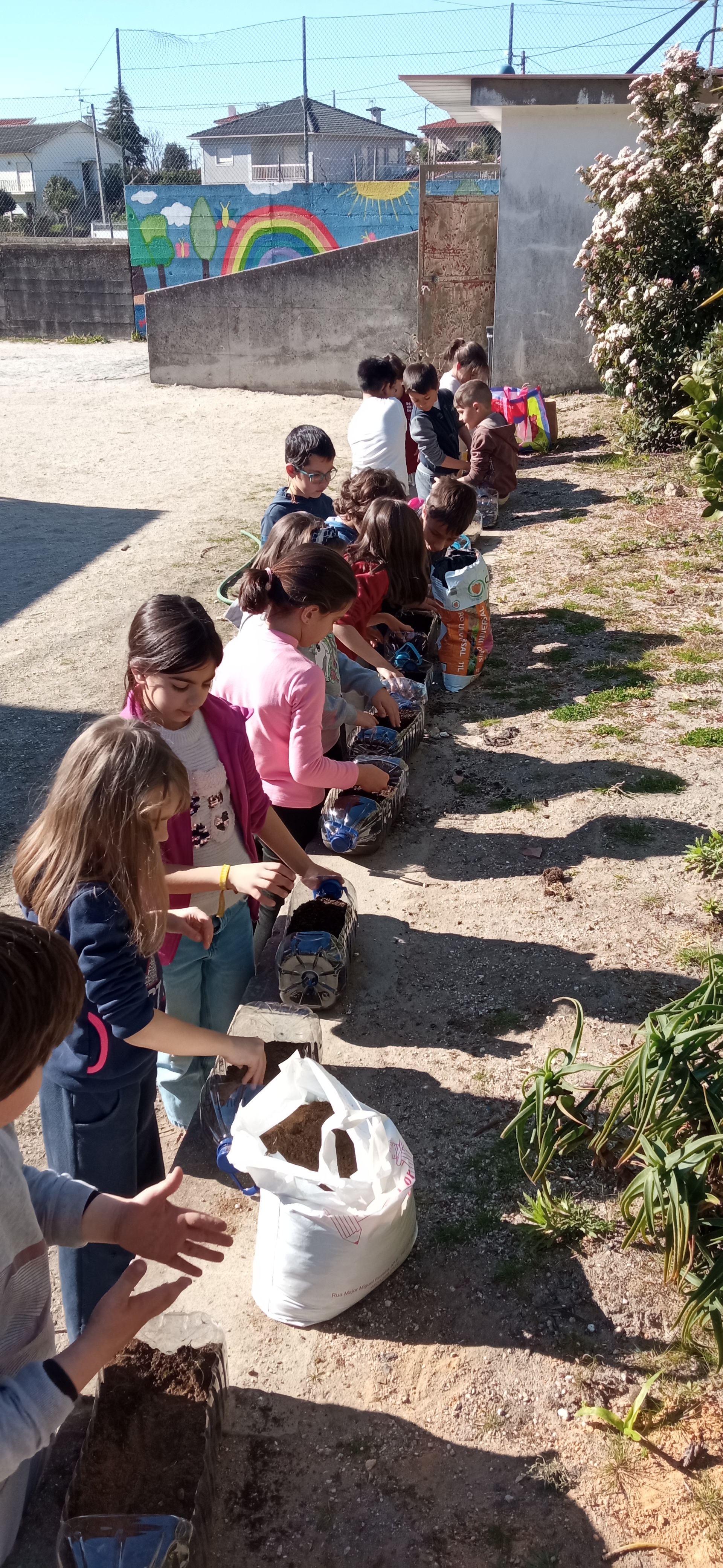 Tal como se pode verificar, os alunos prepararam algumas sementeiras em garrafões, que serão posteriormente transplantadas para a horta.