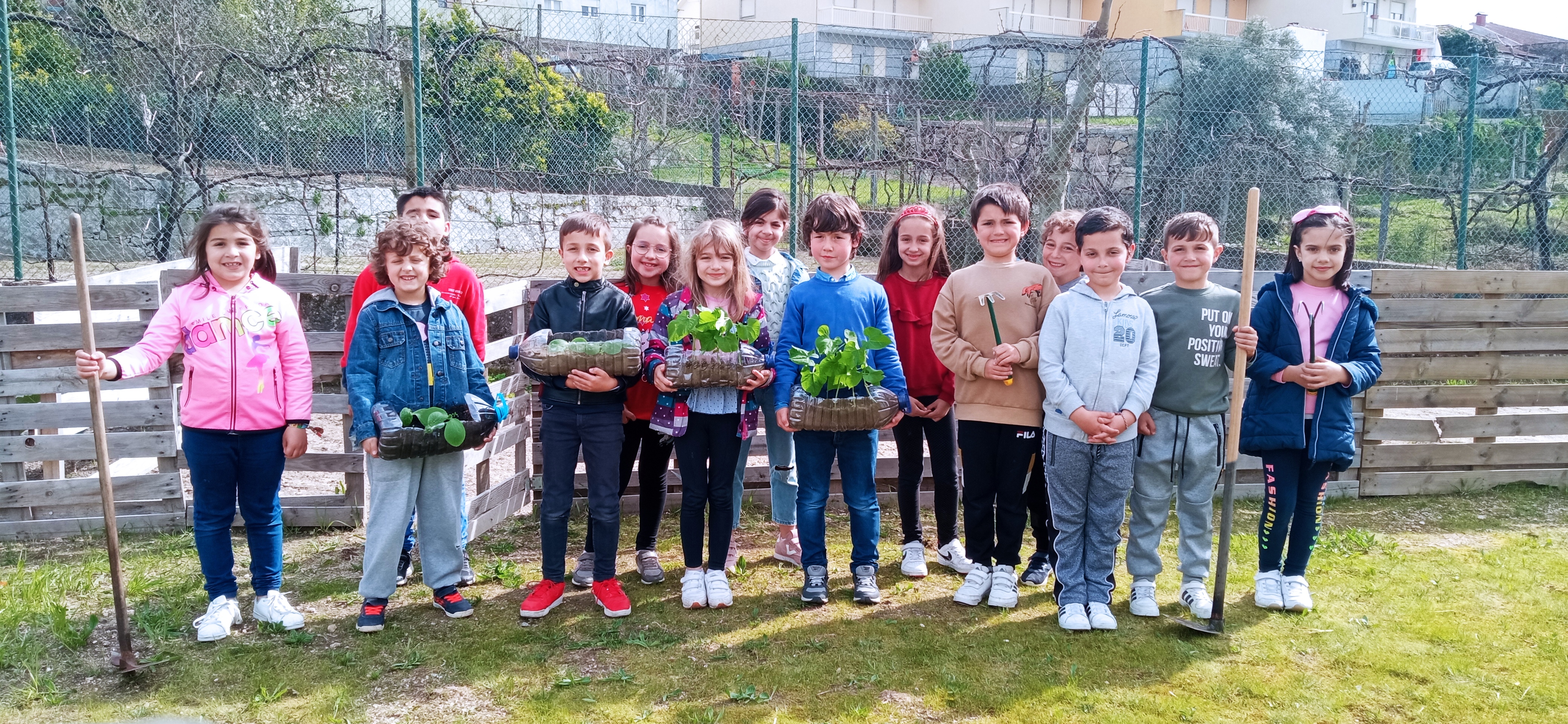 Sementeiras elaboradas pelos alunos que foram transplantadas pelos alunos, para a horta.