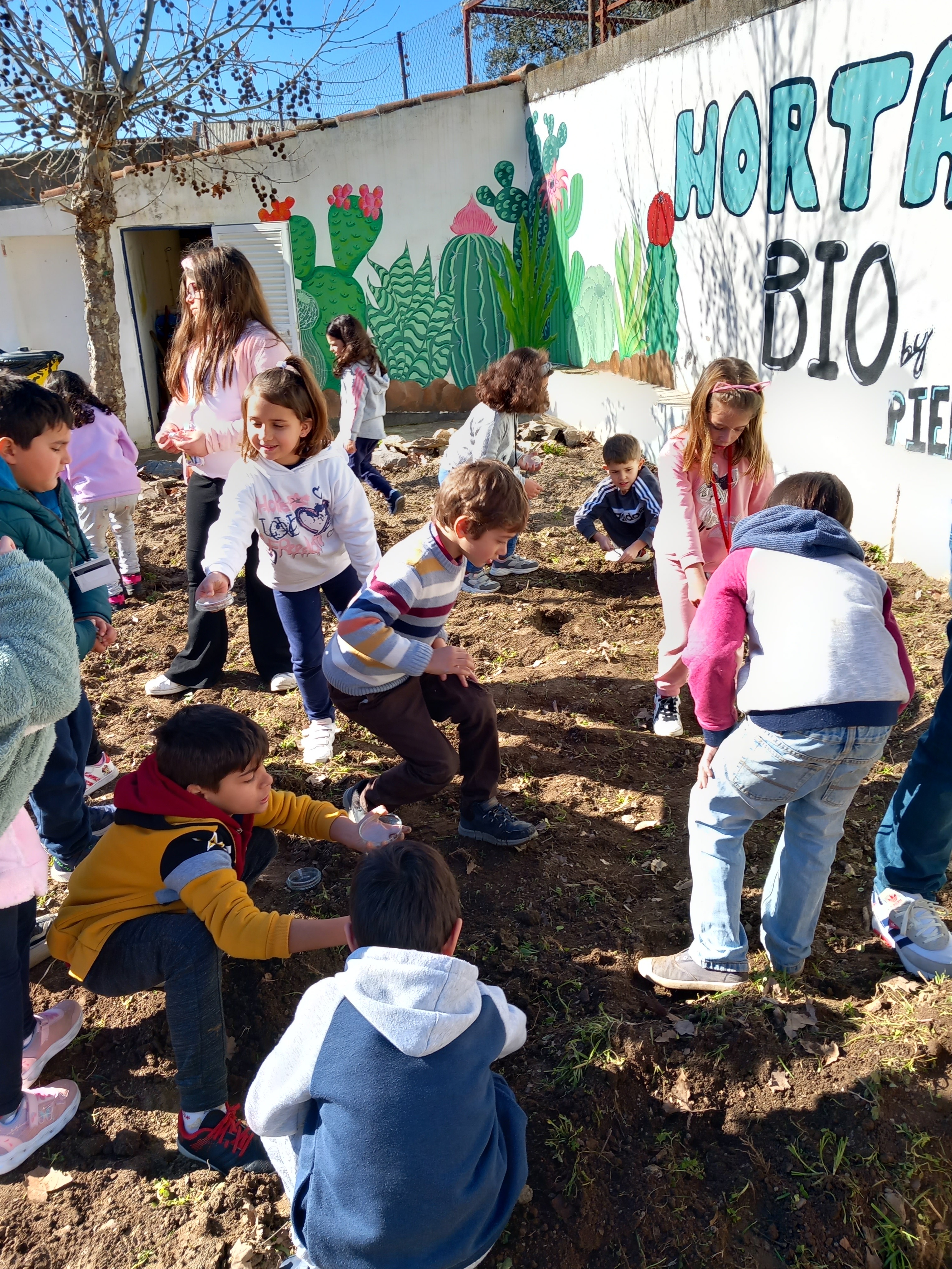 Recolha de minhocas para posterior análise com os alunos de 1ºCiclo. A importância destas espécies na horta biológica.