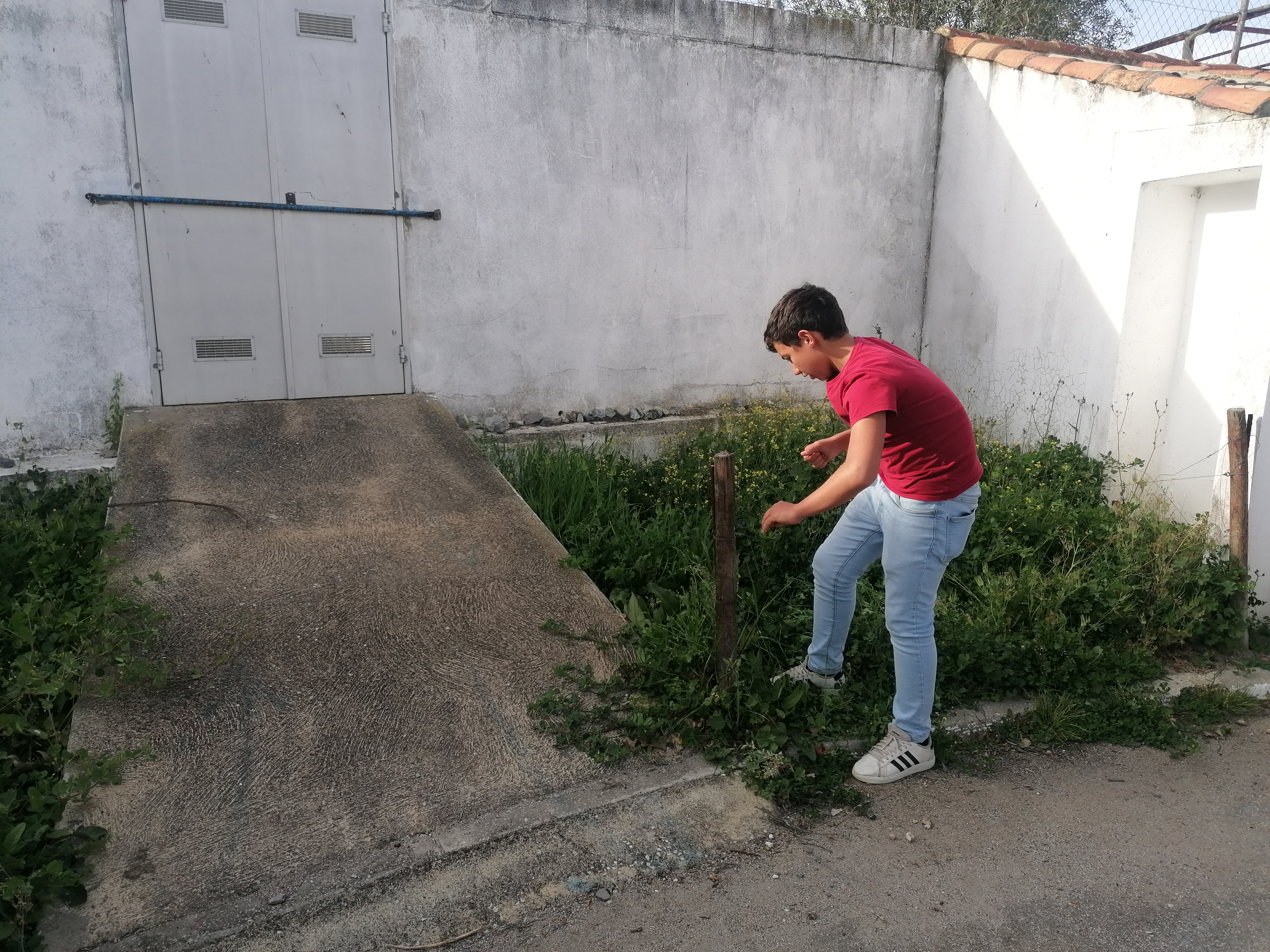 Preparação do terreno
