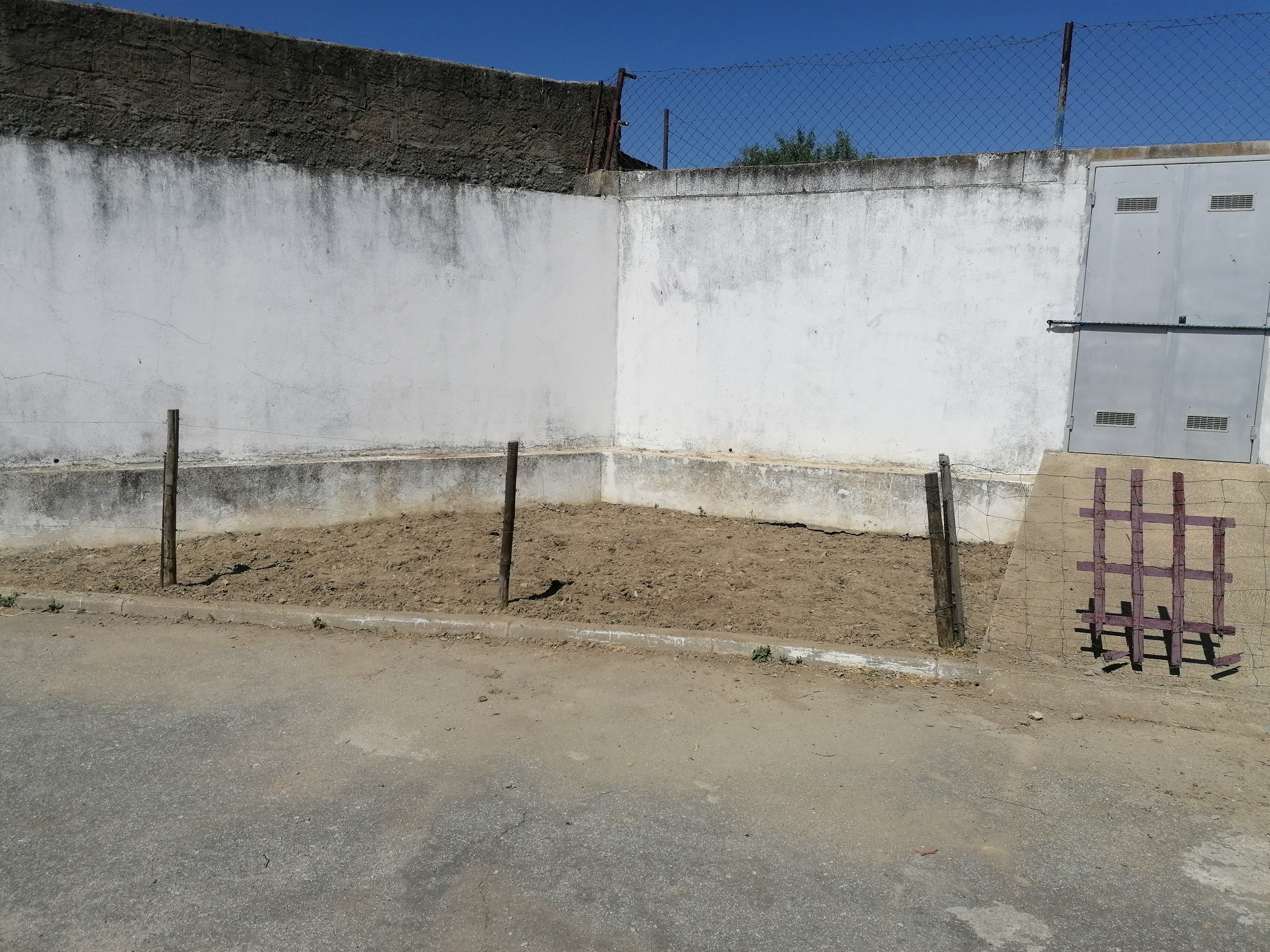 Limpeza do terreno pelos alunos de 3ºciclo
