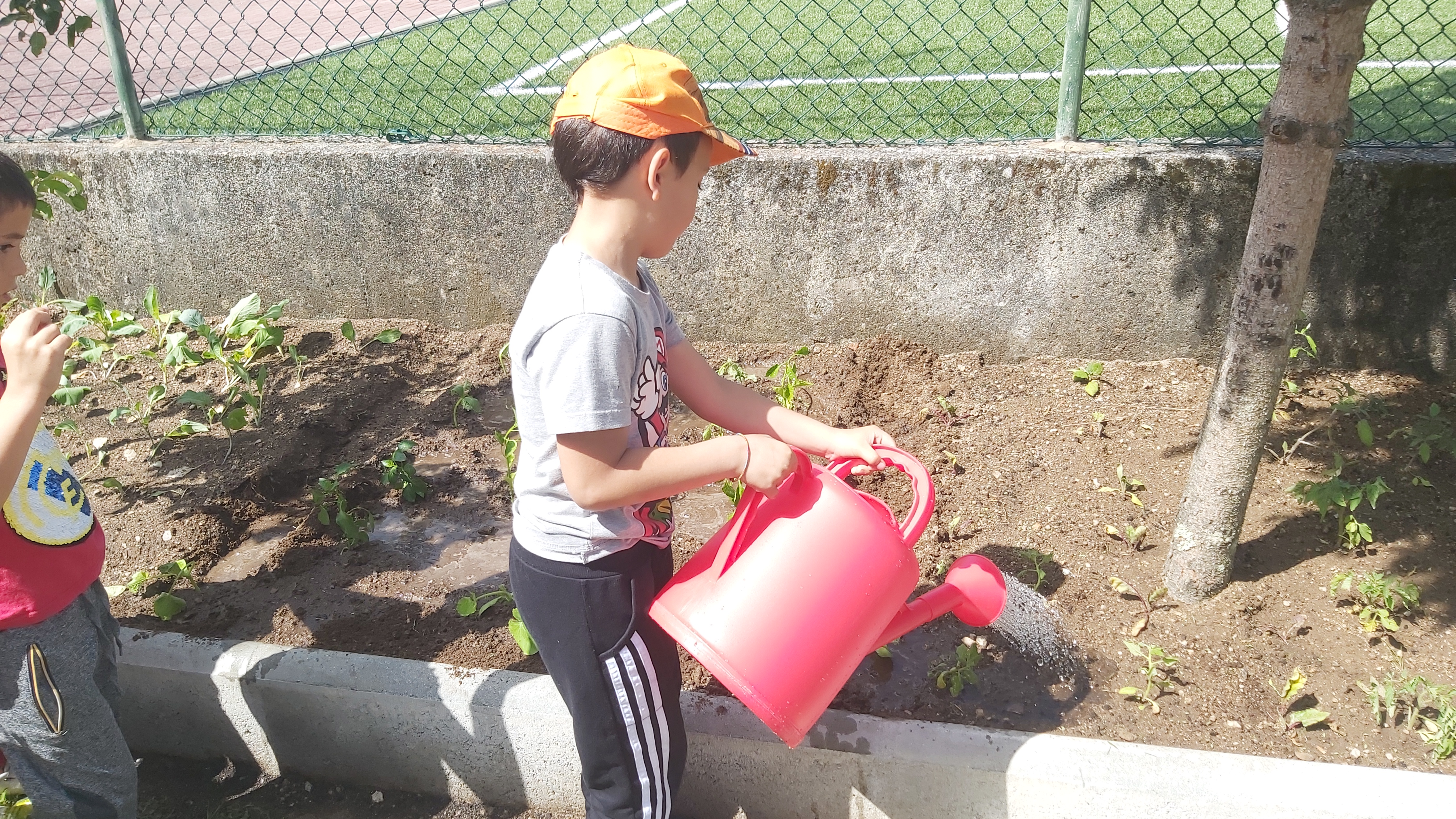 Trabalhos na Horta