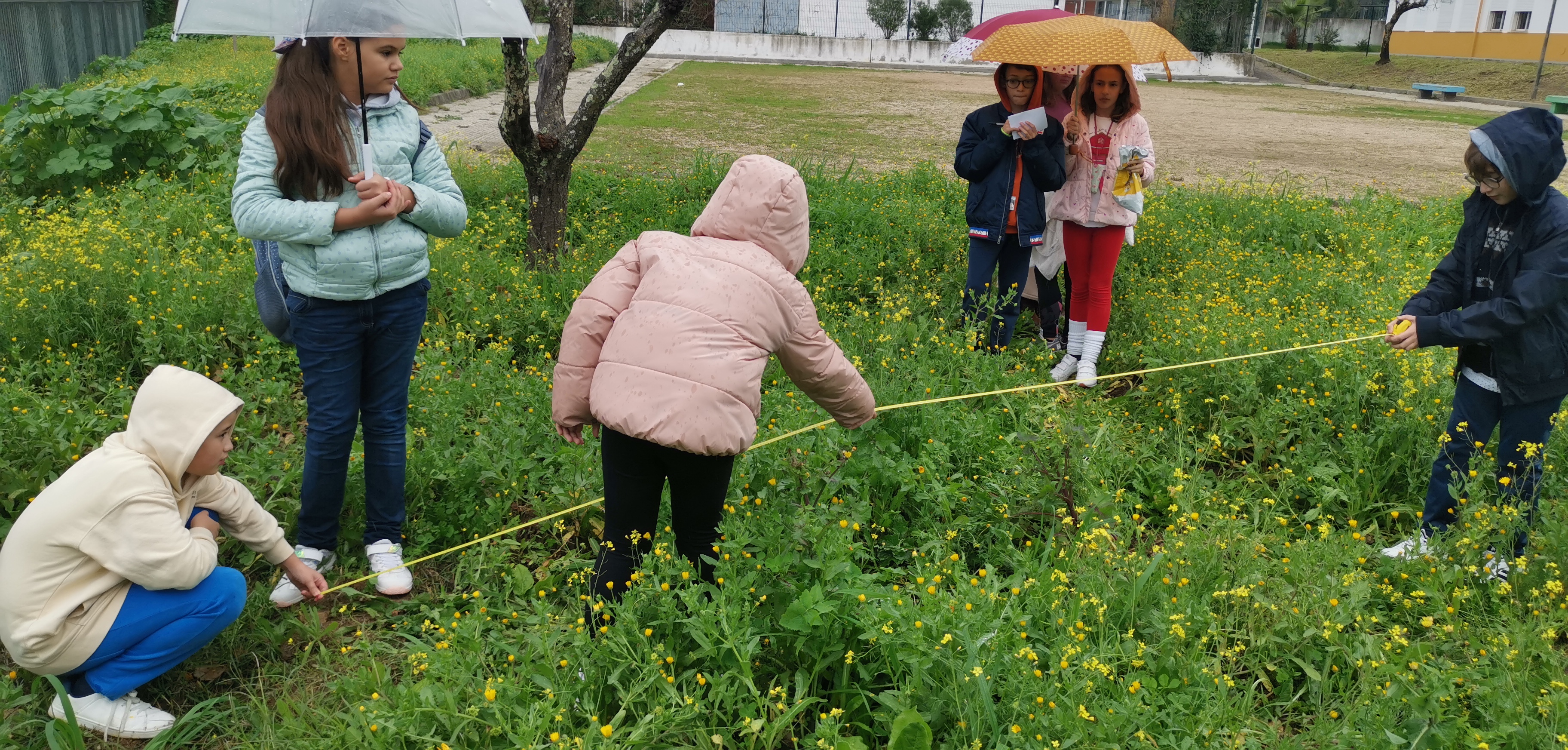 Medição e marcação do terreno - tarefa feira pelos alunos em conjunto com o professor