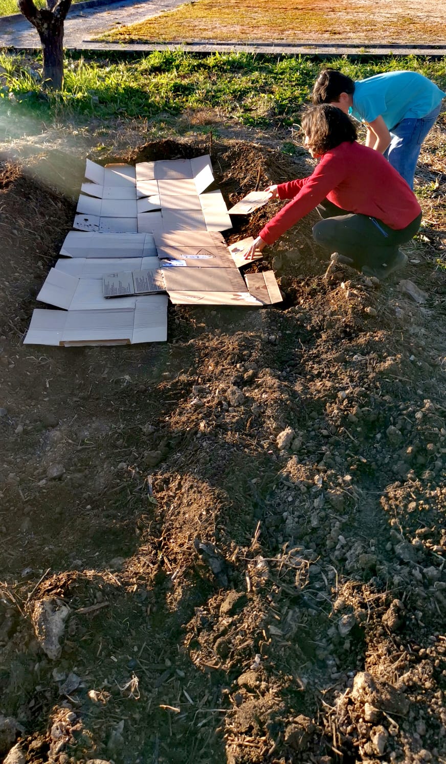 Com a ajuda de EE foi feito um estudo do terreno a plantar e foi enriquecido o mesmo com cartão. Posteriormente será adubado com estrume e/ou composto. Utilizando as bases da permacultura.