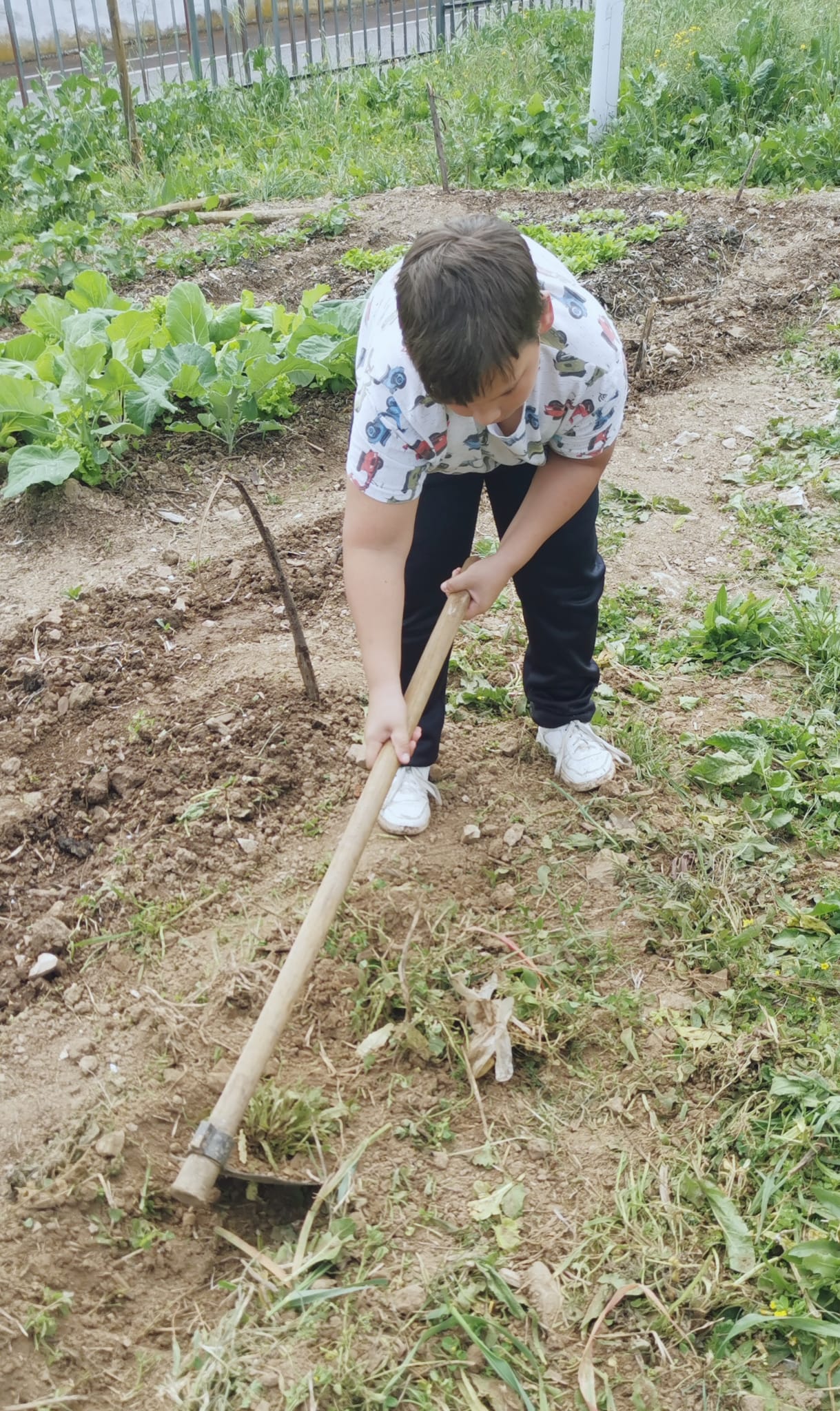 Como a horta não é vedada existe a necessidade de regularmente se limpar o terreno à volta da mesma.