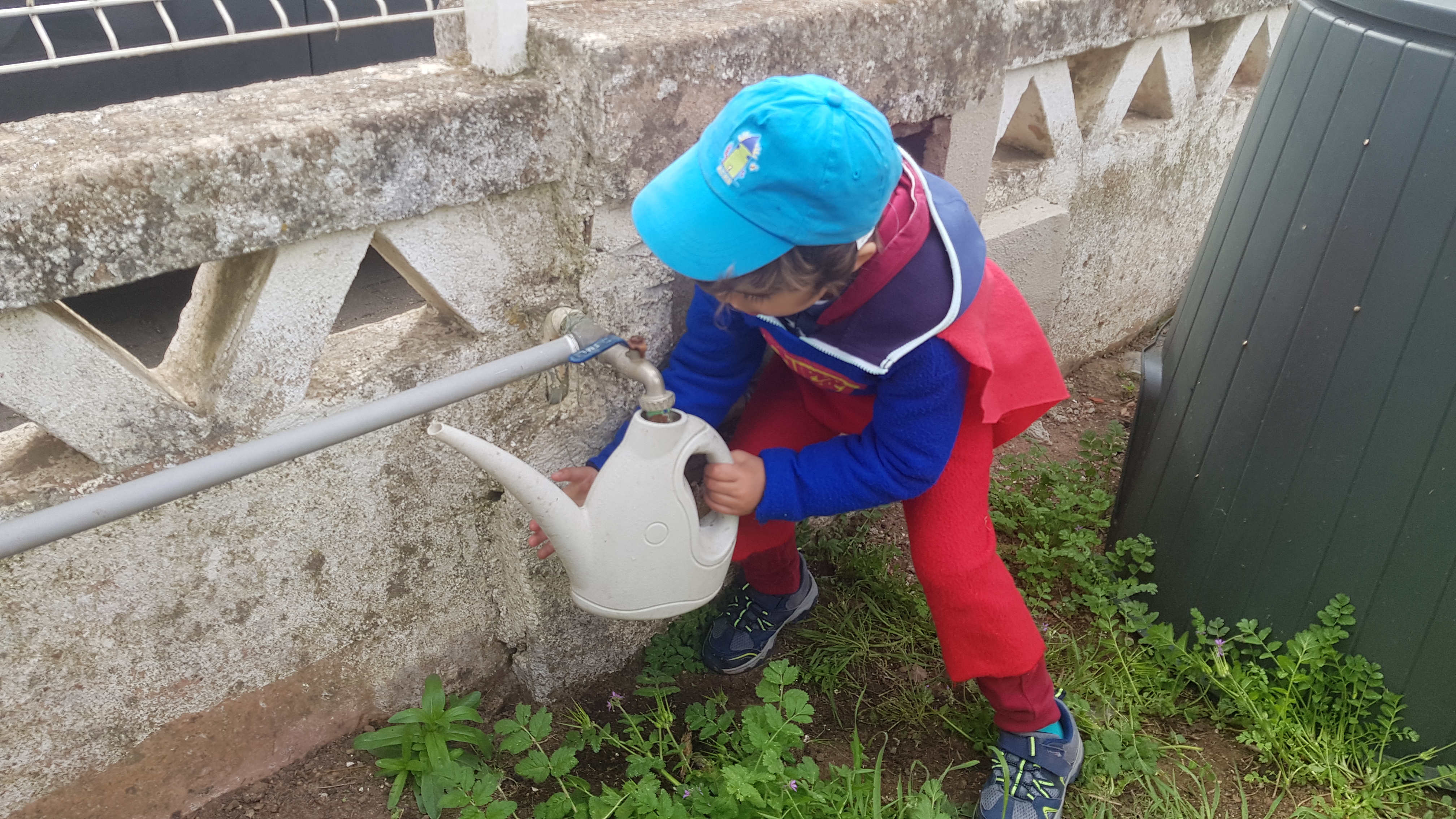 "O nosso Avô ensinou a plantar Alfaces Bebés!"
