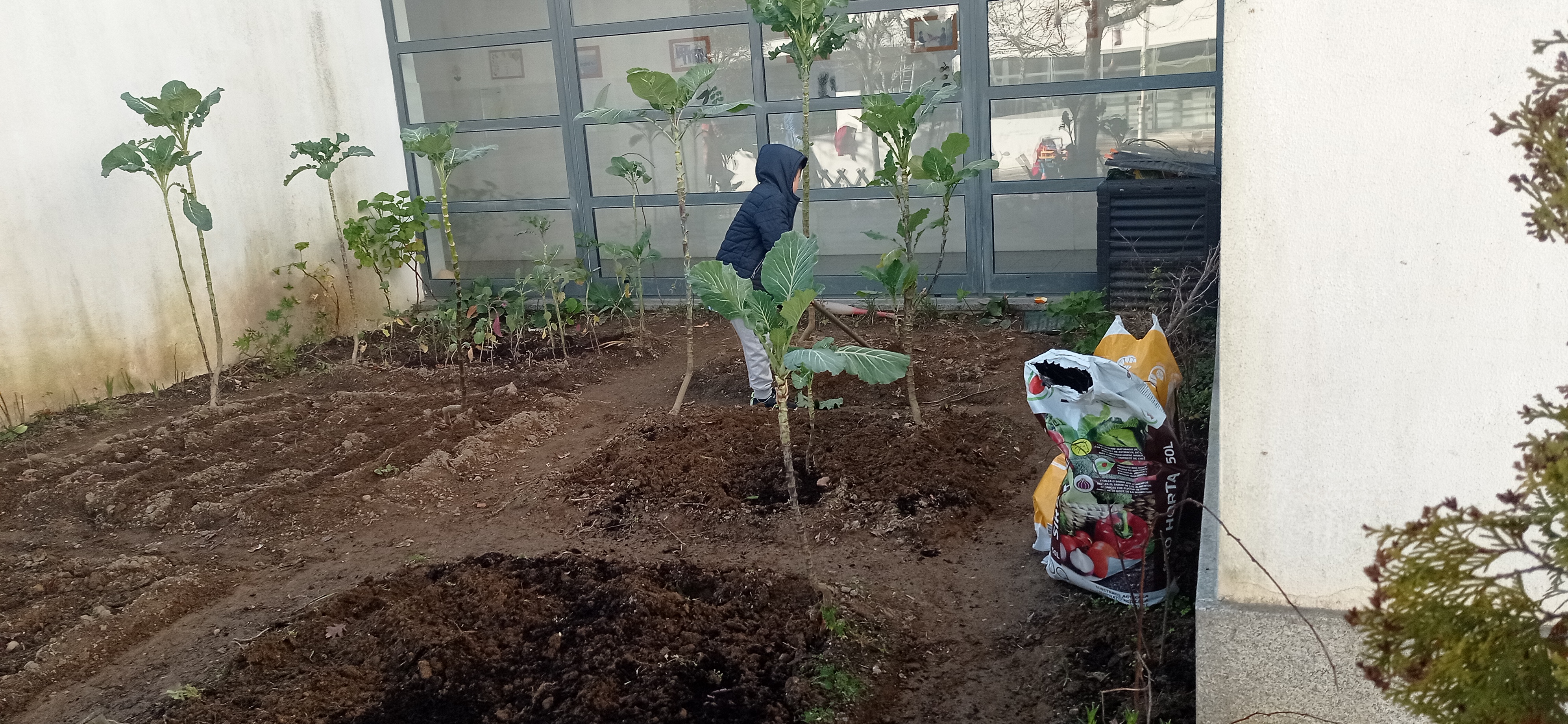 Limpeza e mobilização da terra.