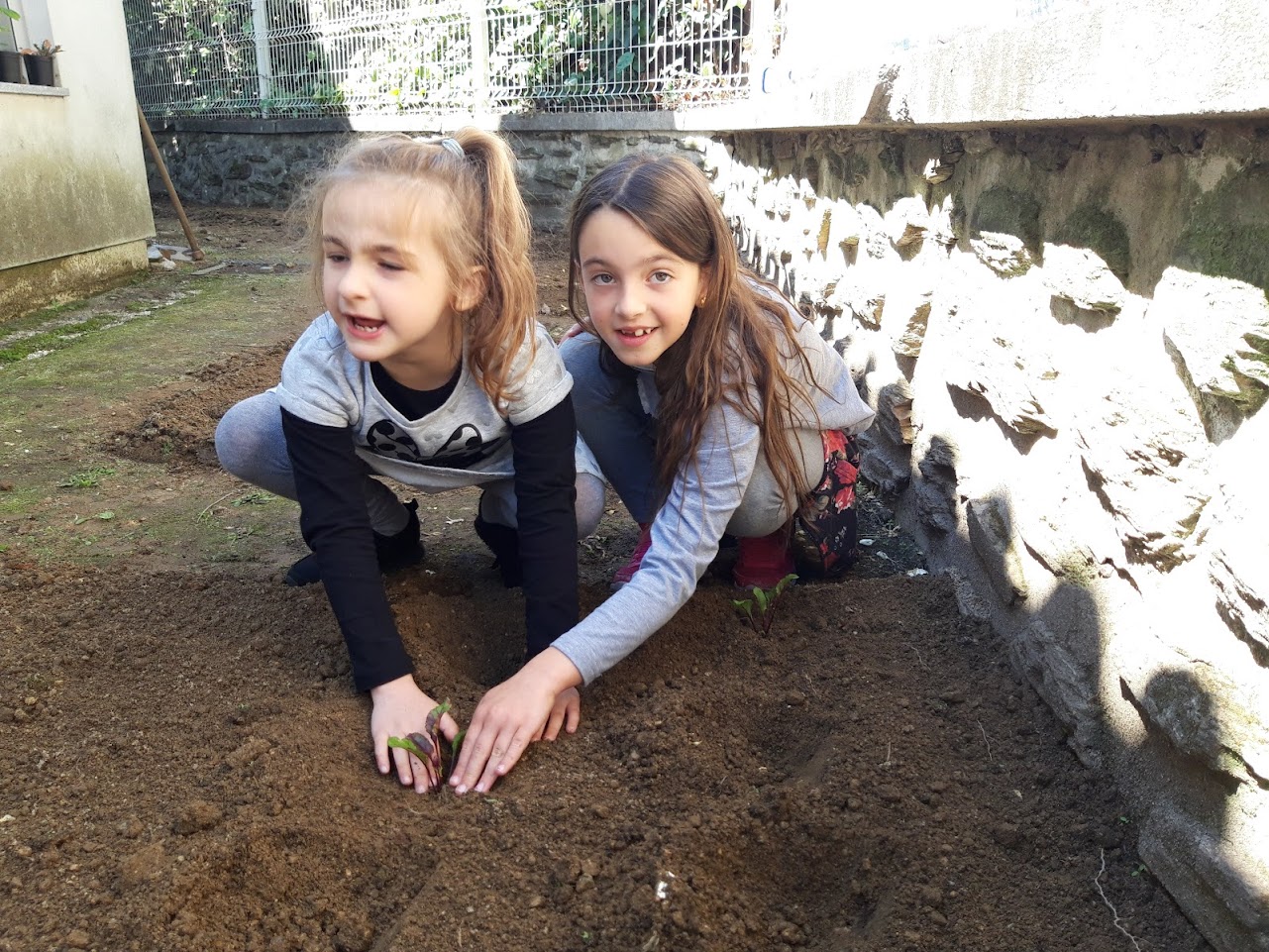 Após limpeza e preparação do solo, os alunos forma transplantar plantas que trouxeram de casa.
