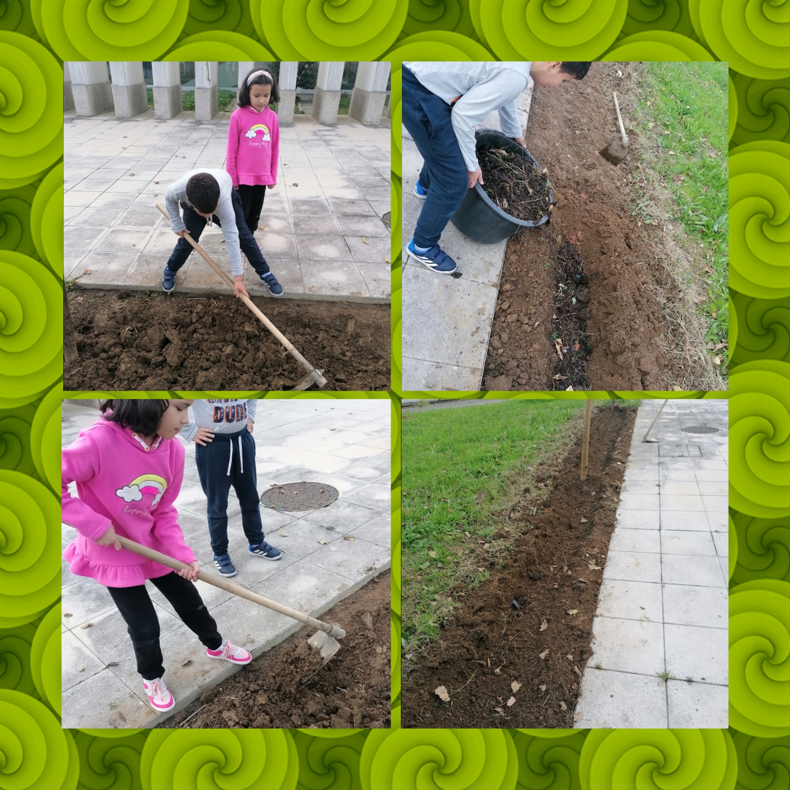 Preparar do terreno, adubar e semear das ervilhas.
