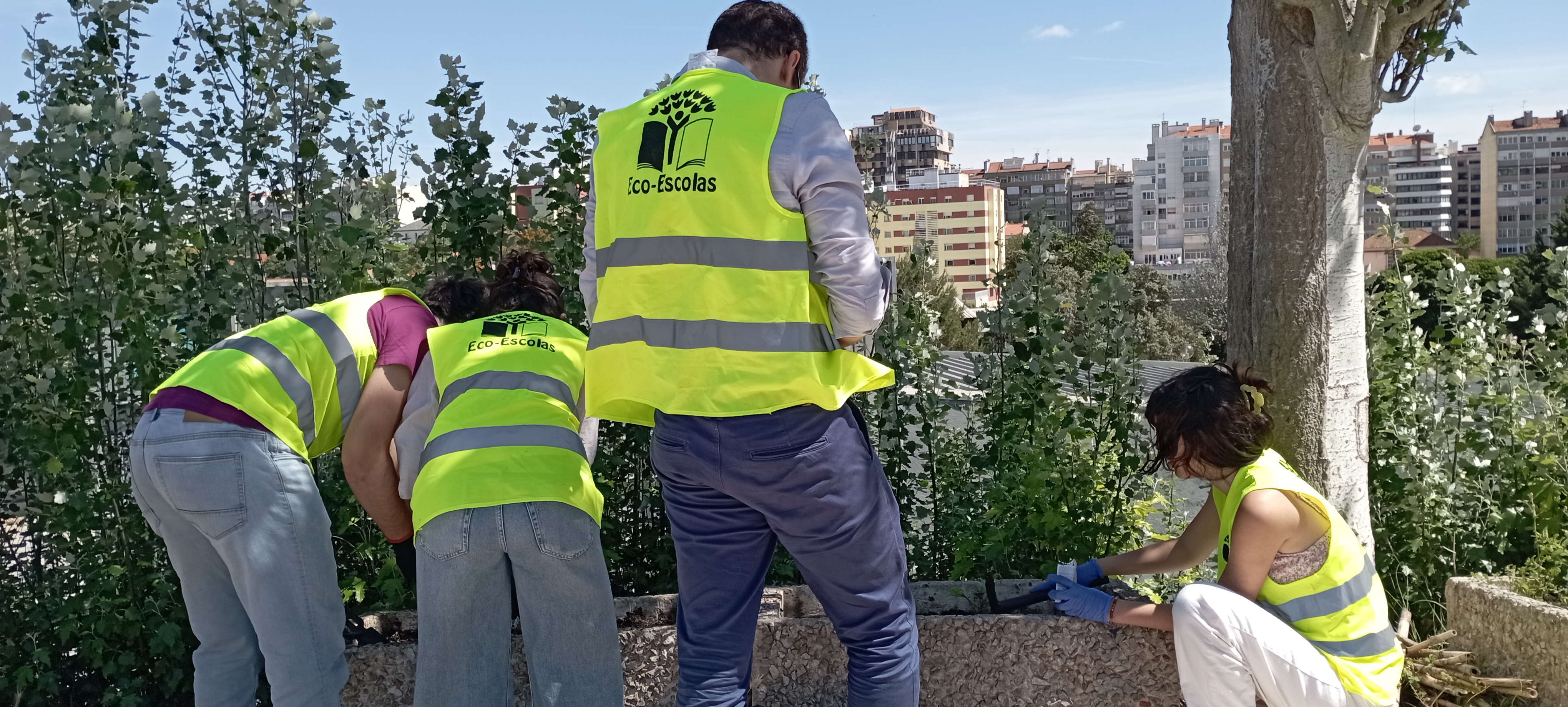 Imagem da continuação dos trabalhos de limpeza e preparação dos canteiros para  plantação de  milho e aromáticas