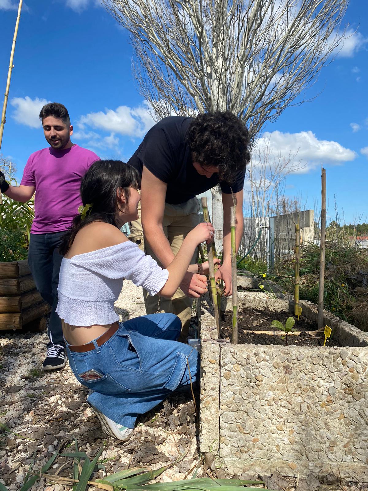 Trabalho de paciência para proteção das sementes e espécies plantadas.
