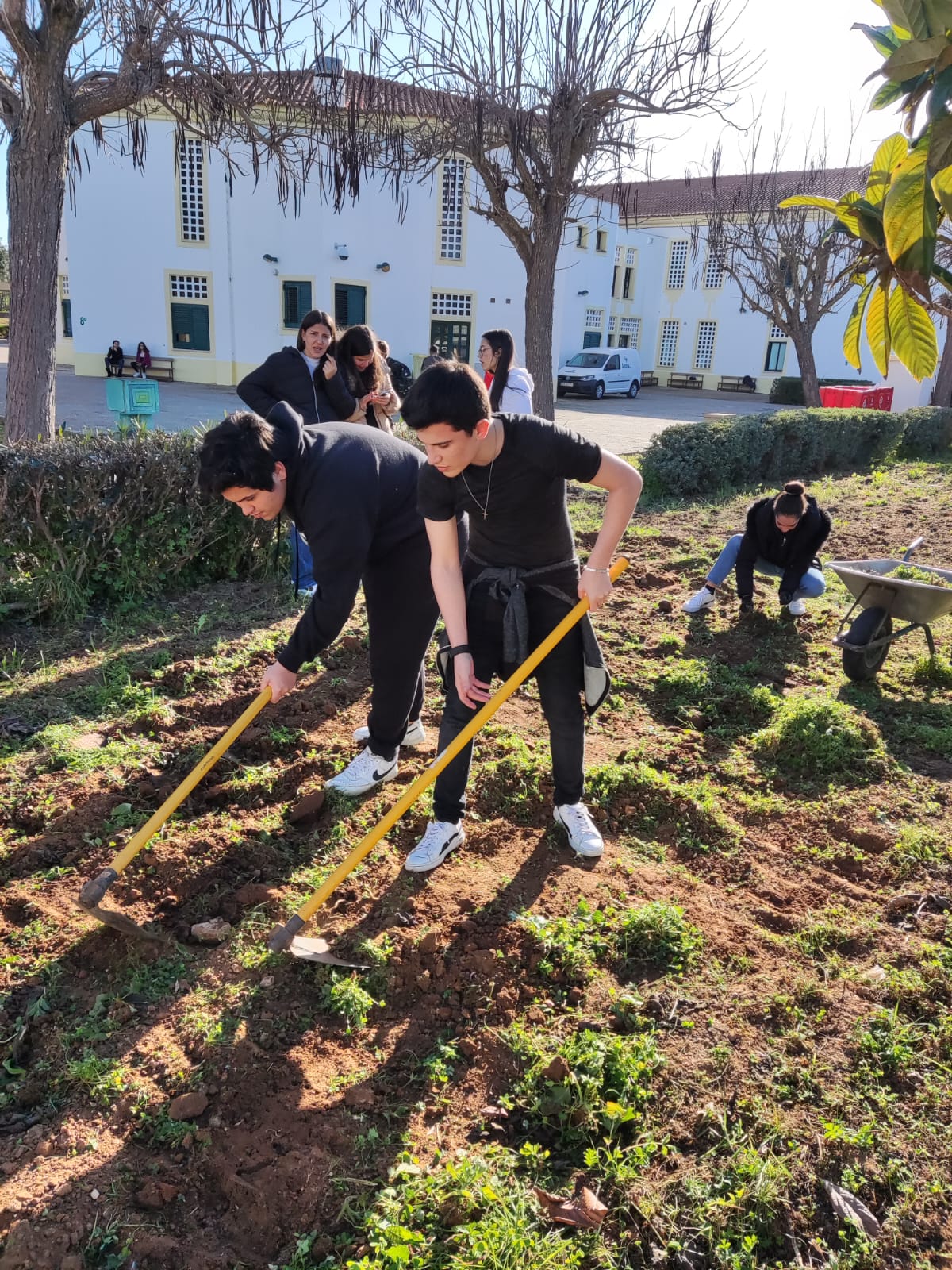 Manutenção da horta, pelos alunos da turma 9B, nas aulas de Cidadania e de Tempo de Projeto.