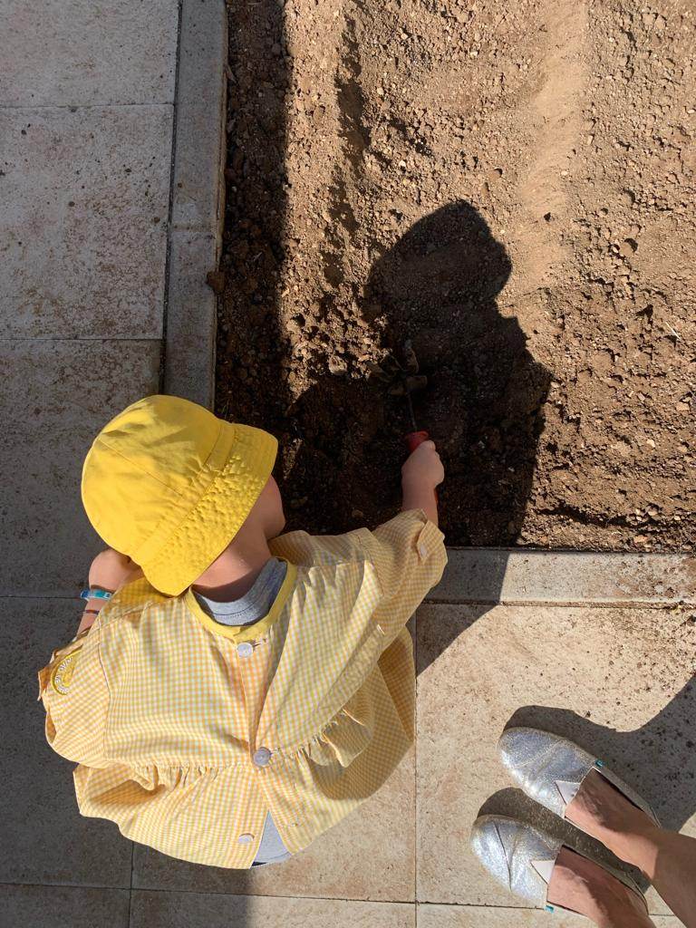 O Bibe Amarelo iniciou o projeto da horta.