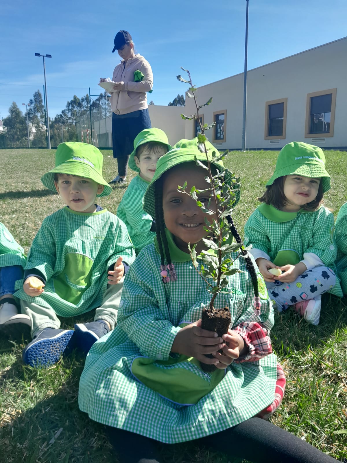 Plantação
