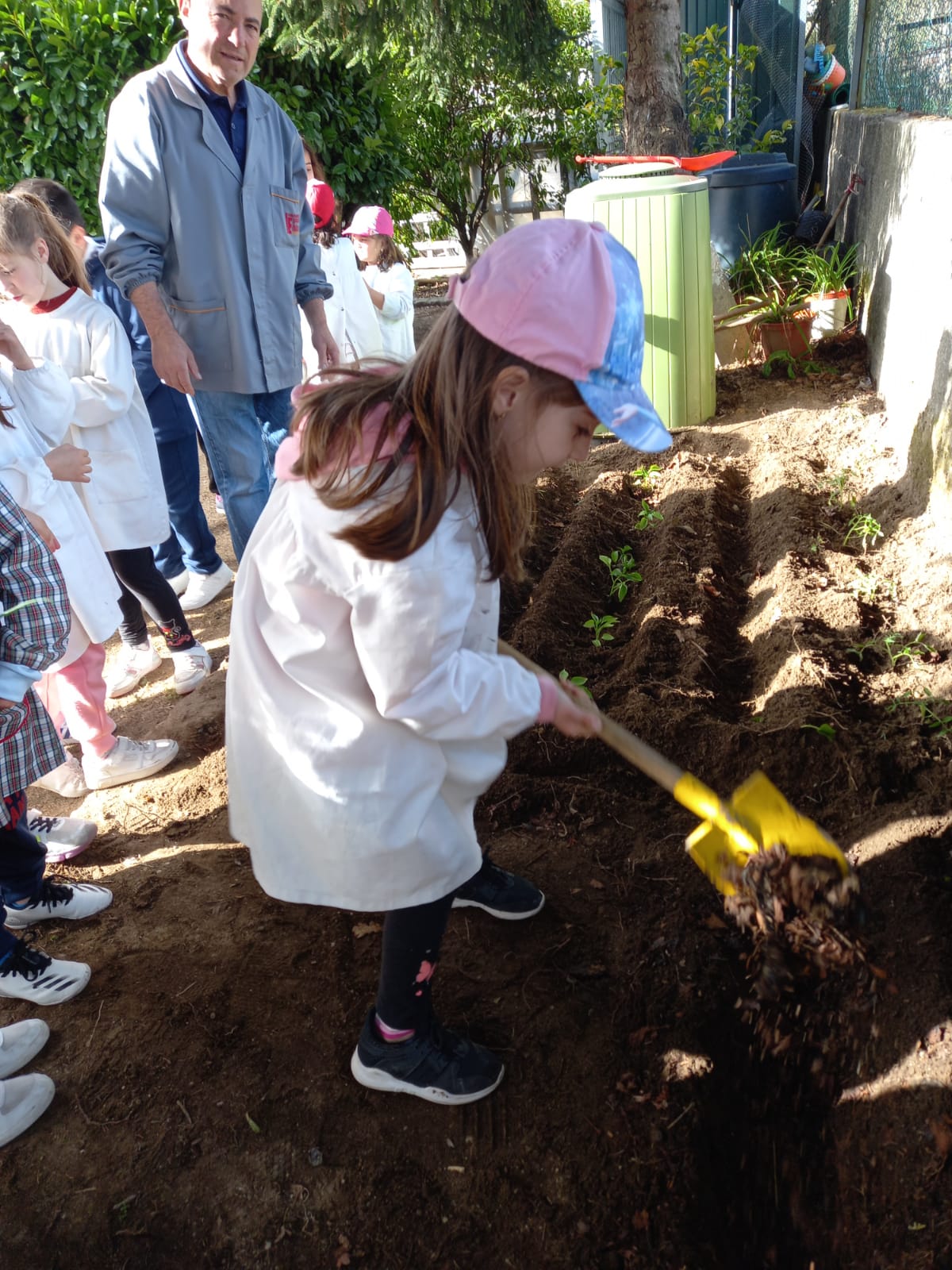 Colocação do humus da compostagem para plantar alfaces