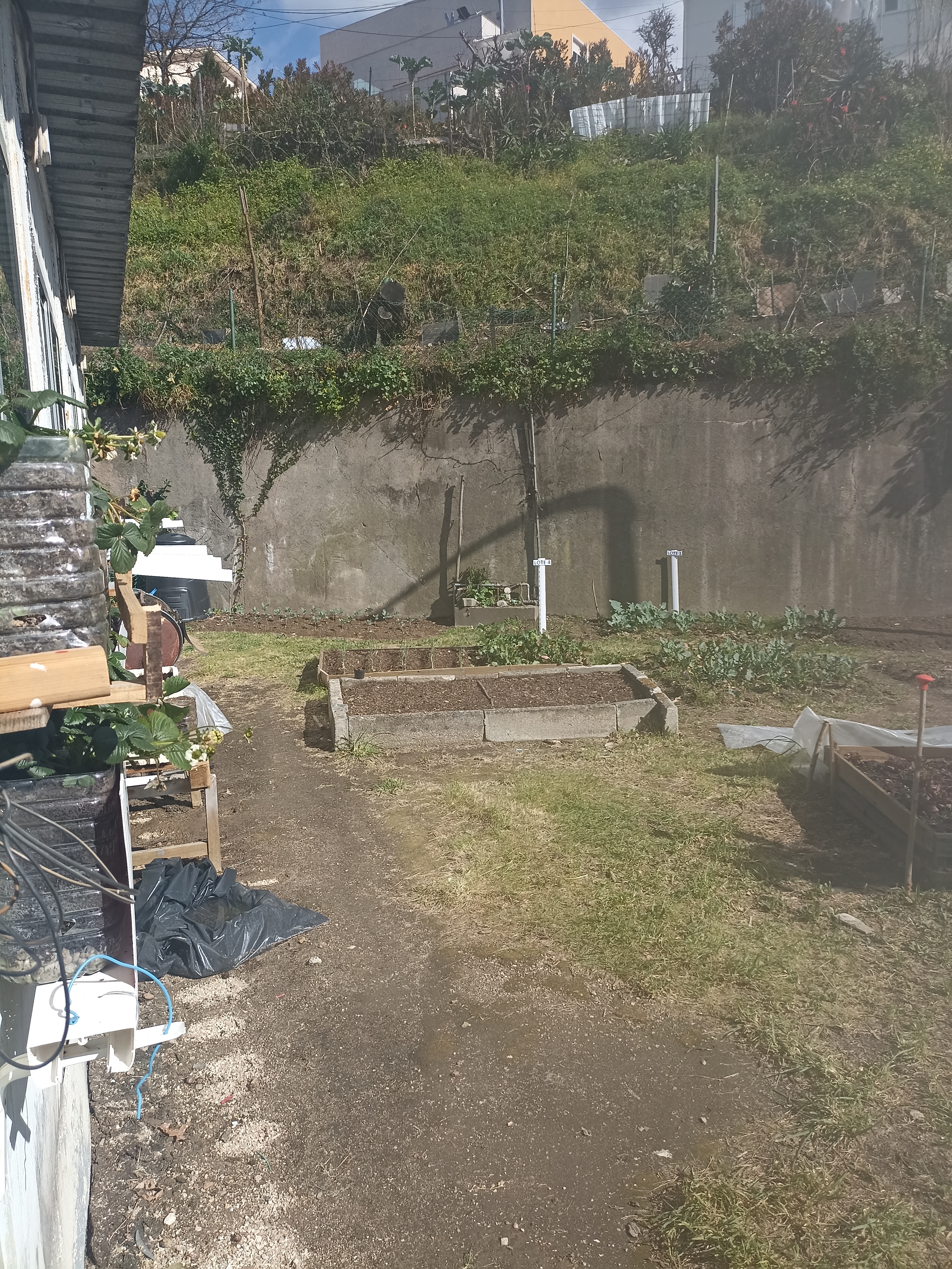 Horta Biológica da Escola Profissional de Felgueiras, ainda em construção. Já estão divididos os talhões que fazem parte do projeto. Em cada um deles serão plantadas determinadas hortícolas (batata, cenoura, alface, cebola, tomate, etc.).