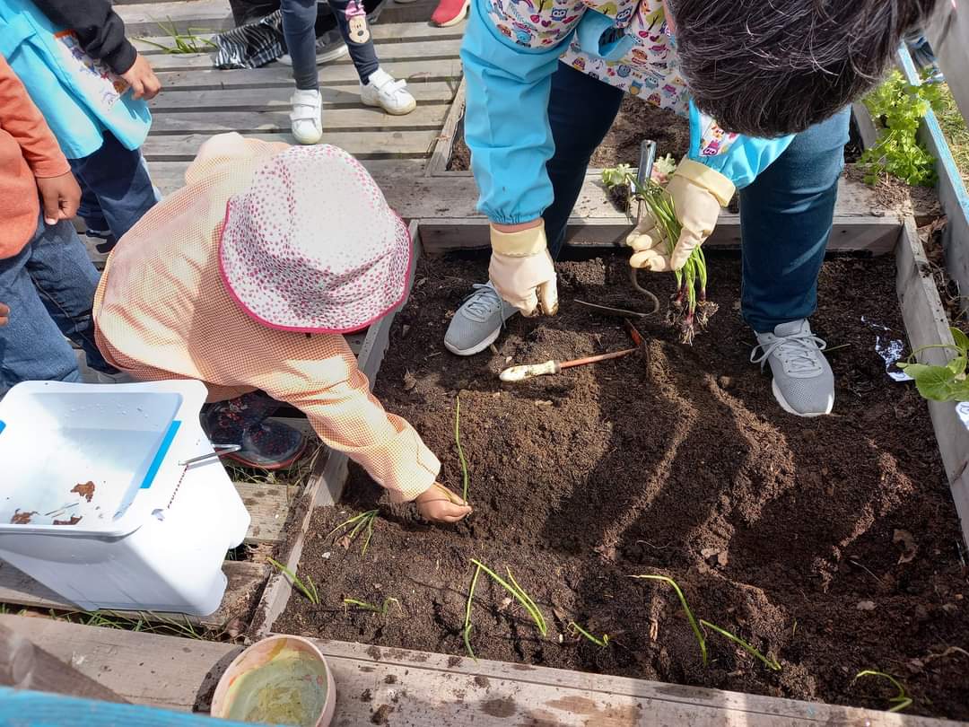 Iniciamos as nossas plantações com todo o carinho e amor