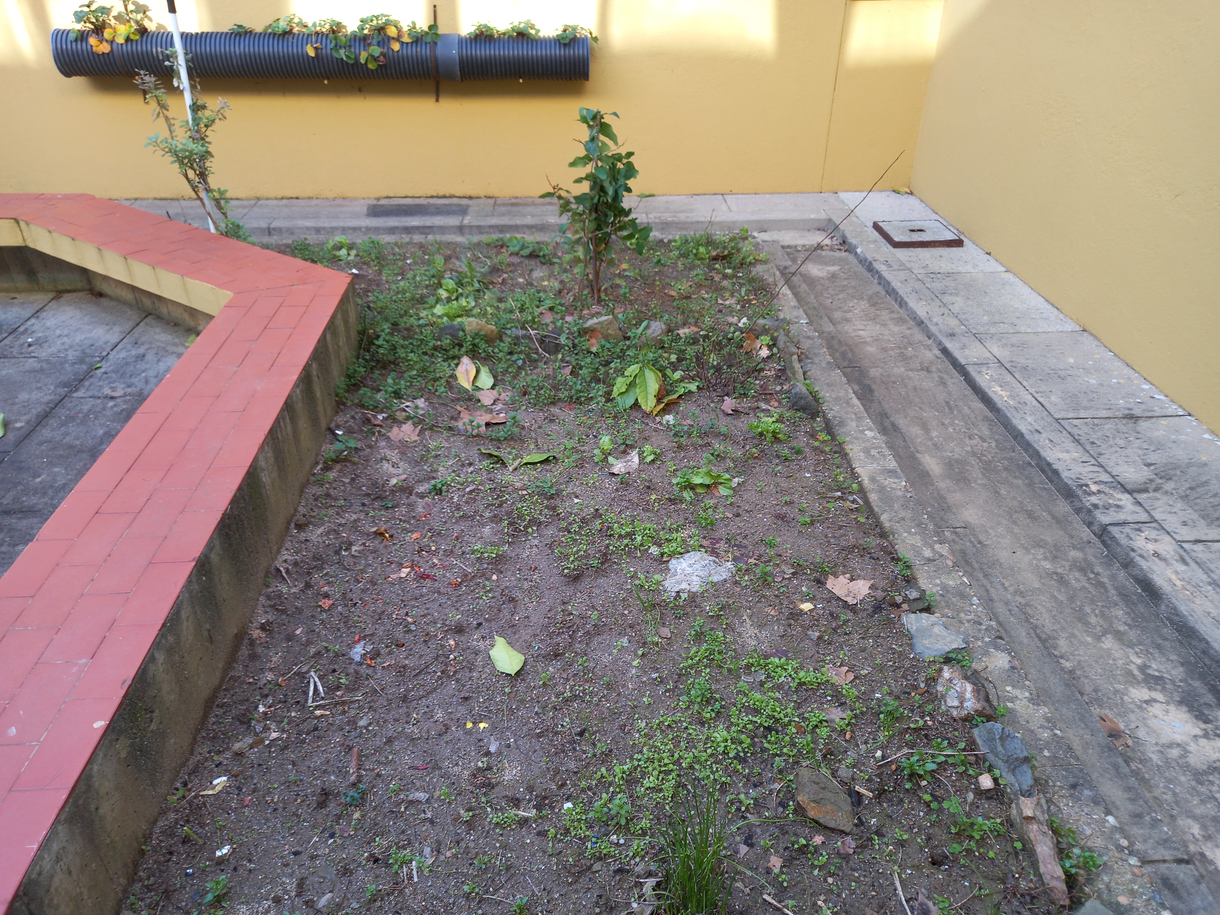 Horta escola sede AEPAN