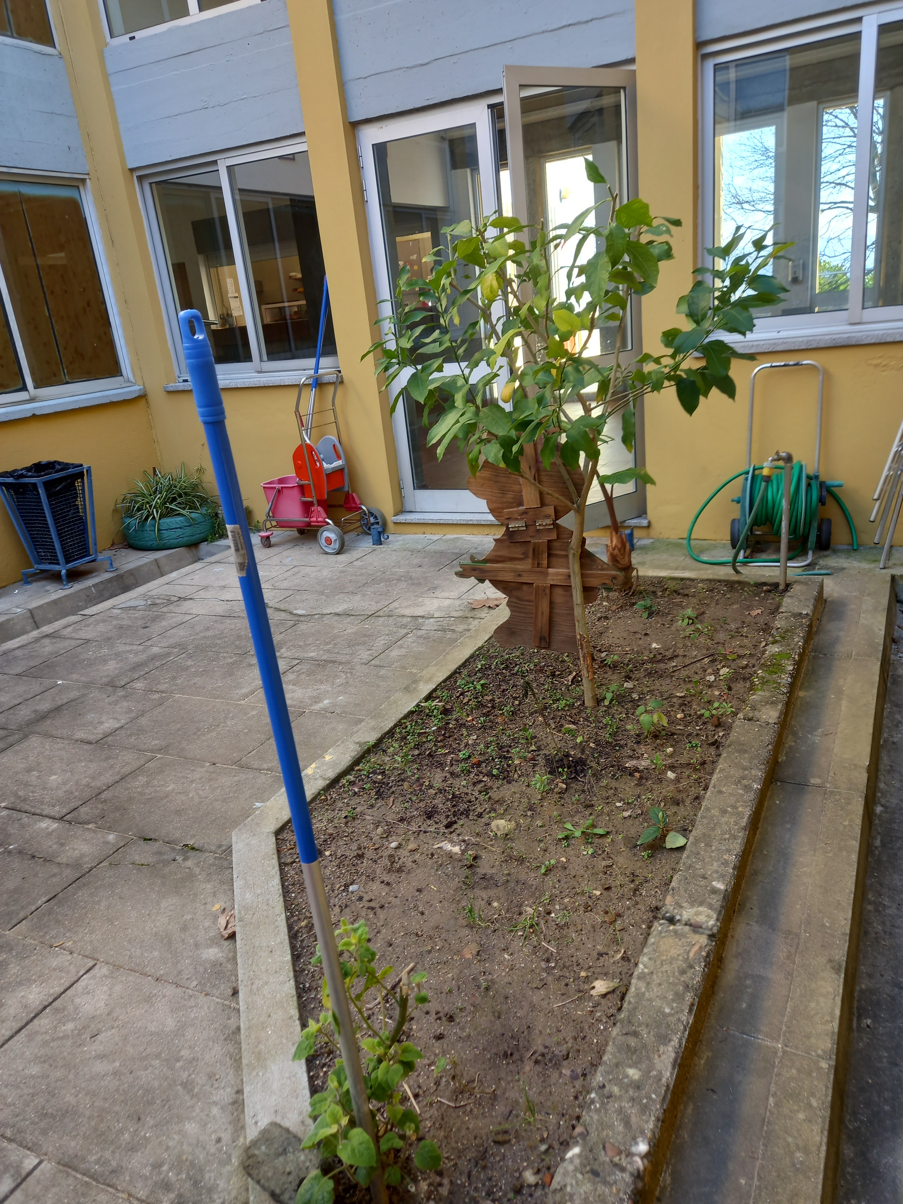 Horta escola sede AEPAN