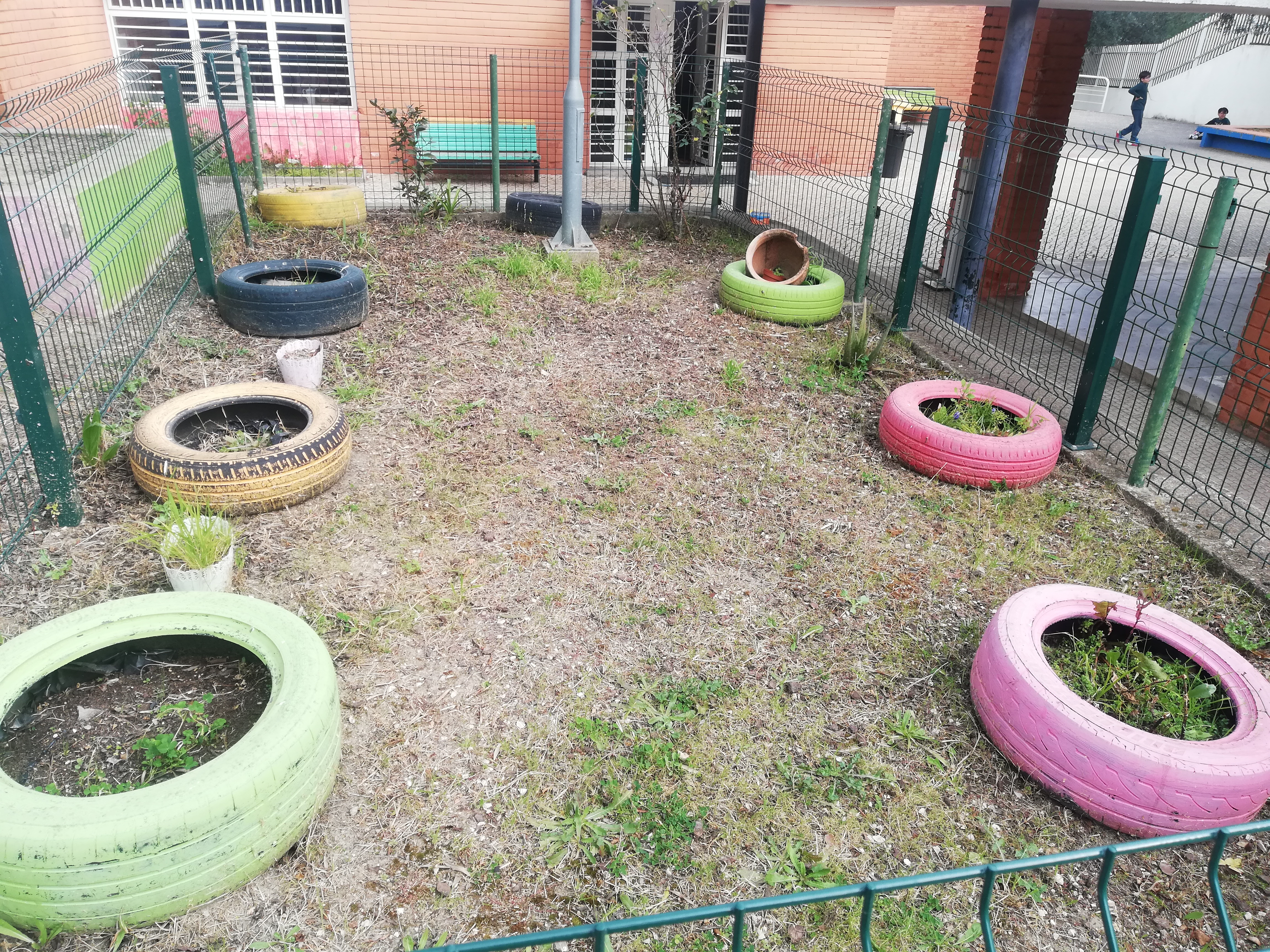 Espaço da horta (antes da implementação da horta de canteiros)