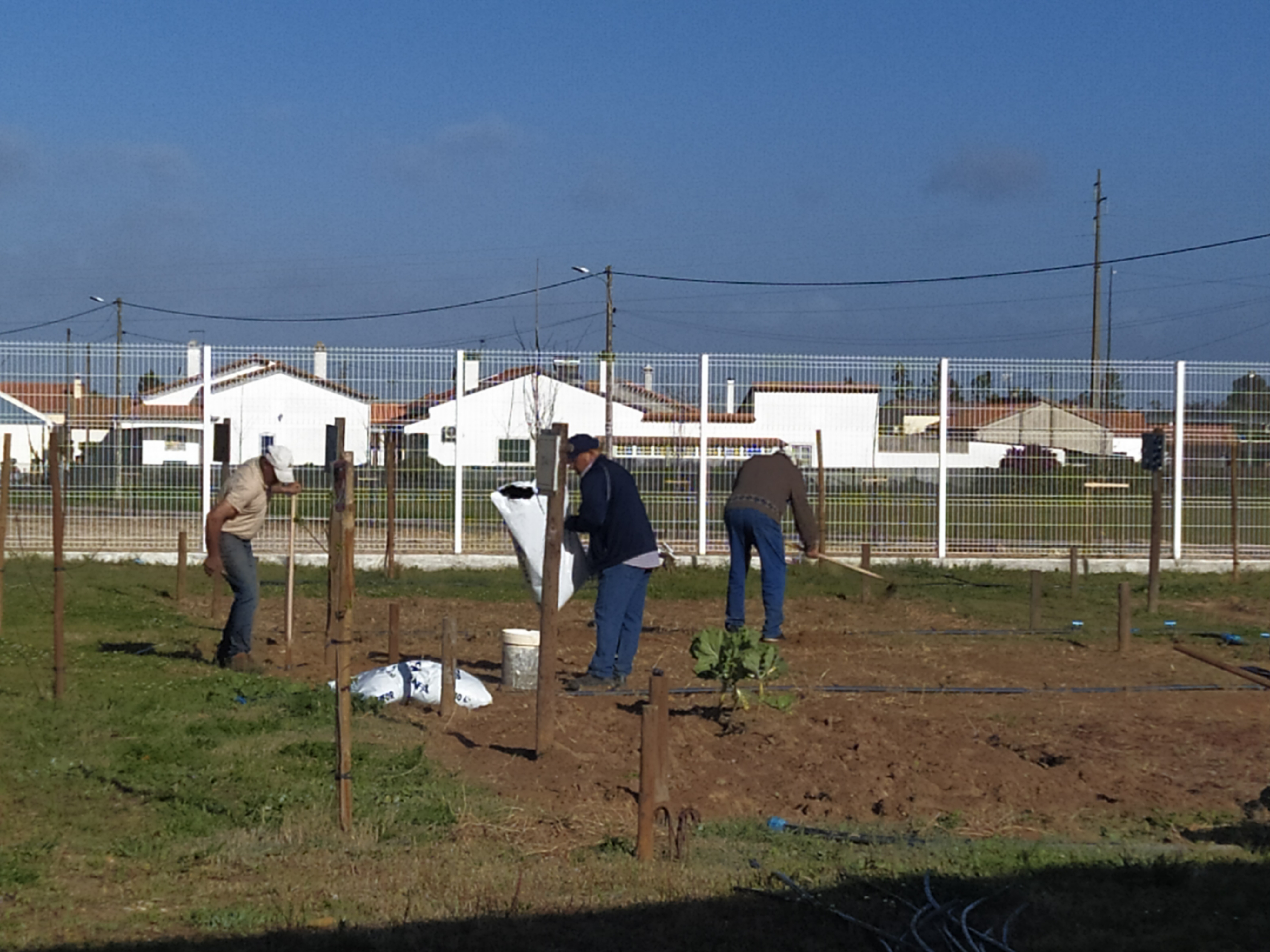 Fase inicial da preparação do terreno de cultivo.