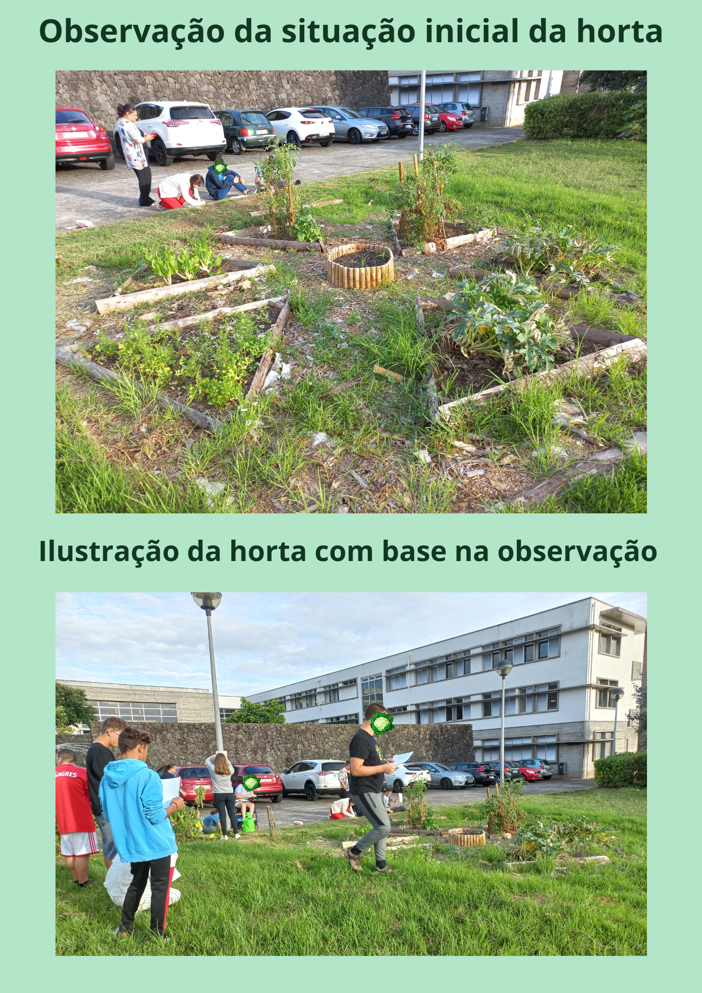 Observação da situação inicial da horta e ilustração da mesma