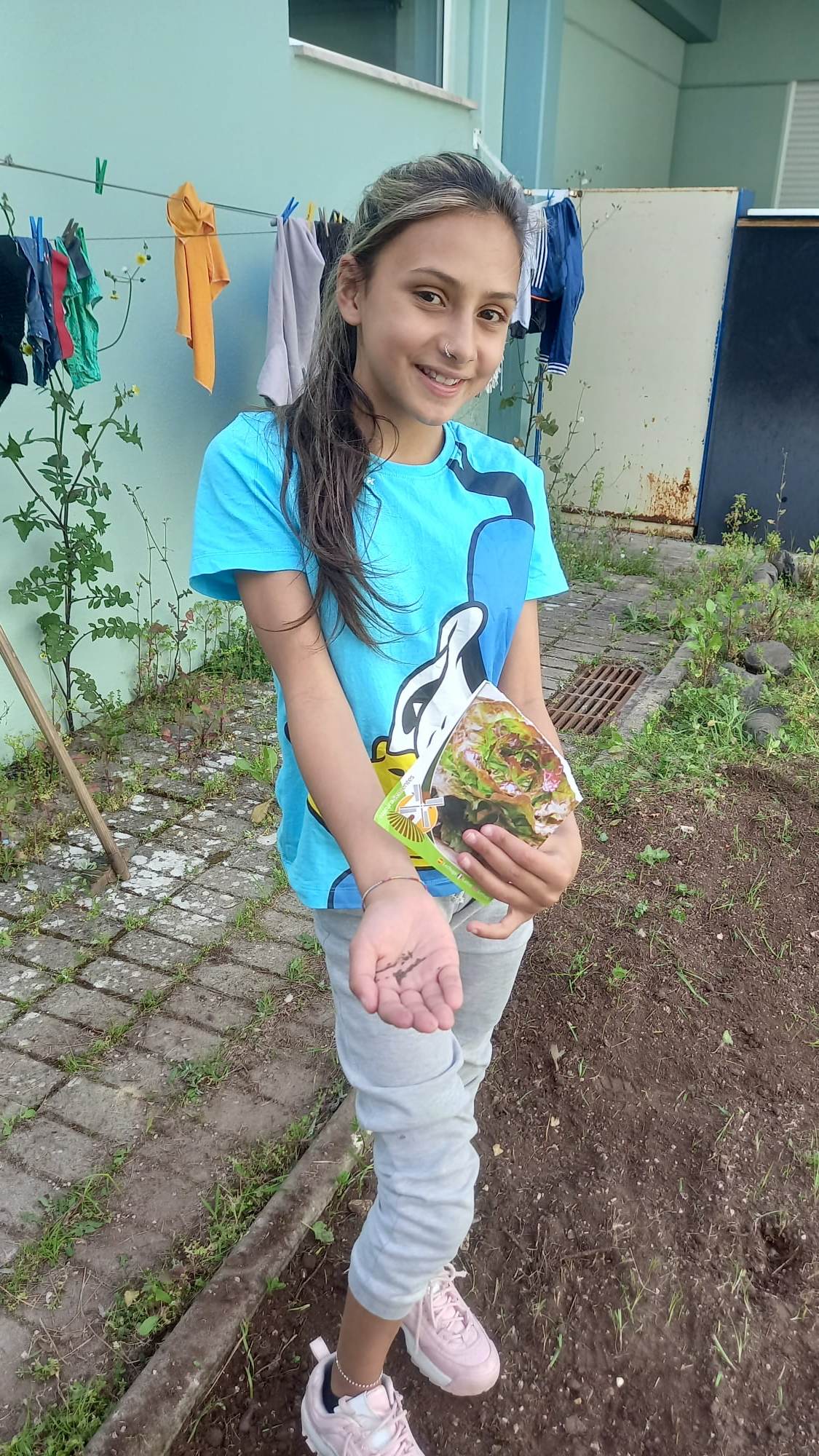 Início das plantações