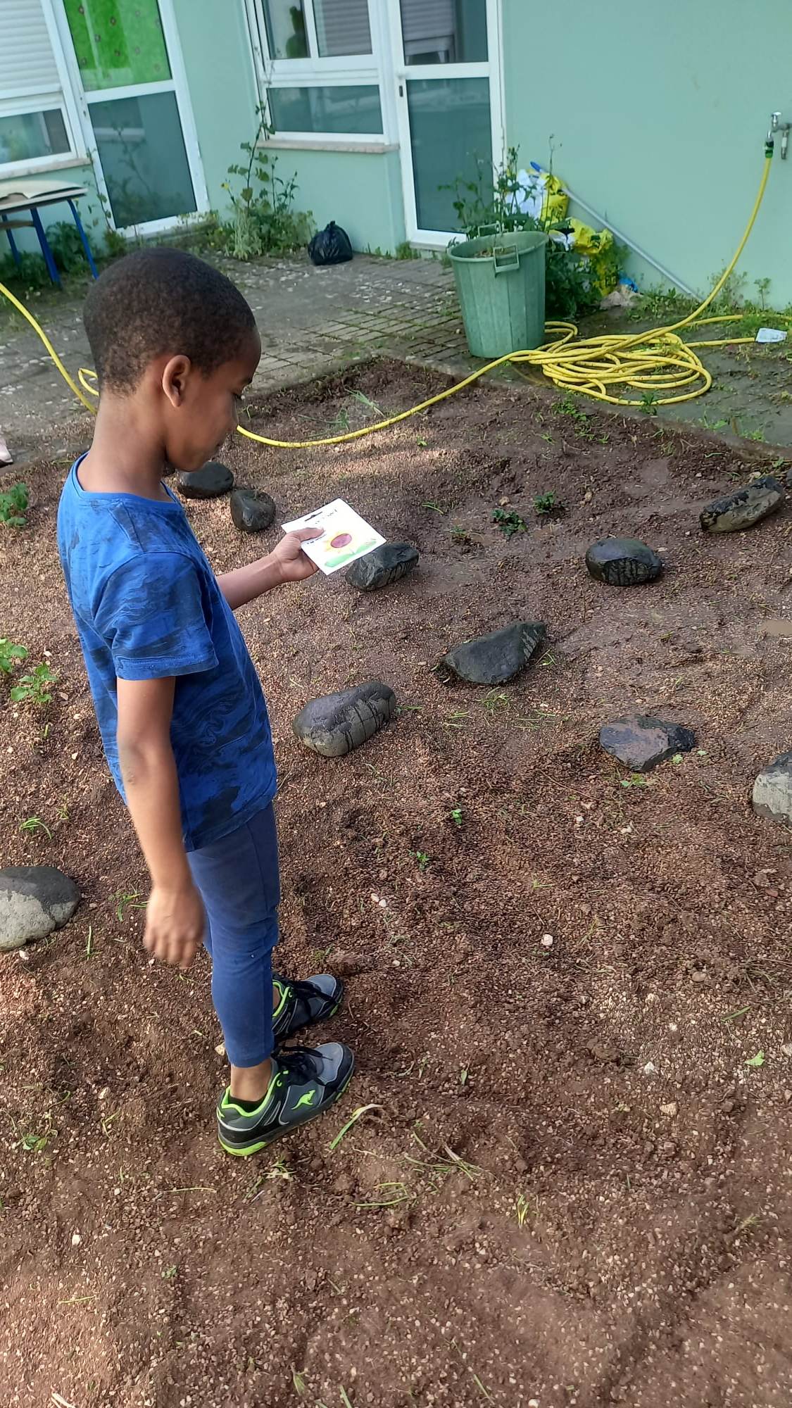 Início das plantações