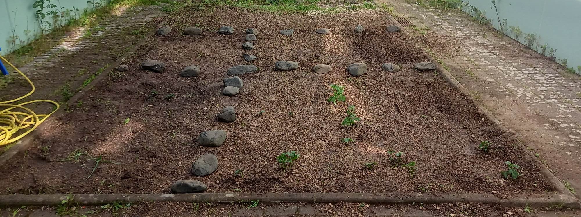 Horta cuidada