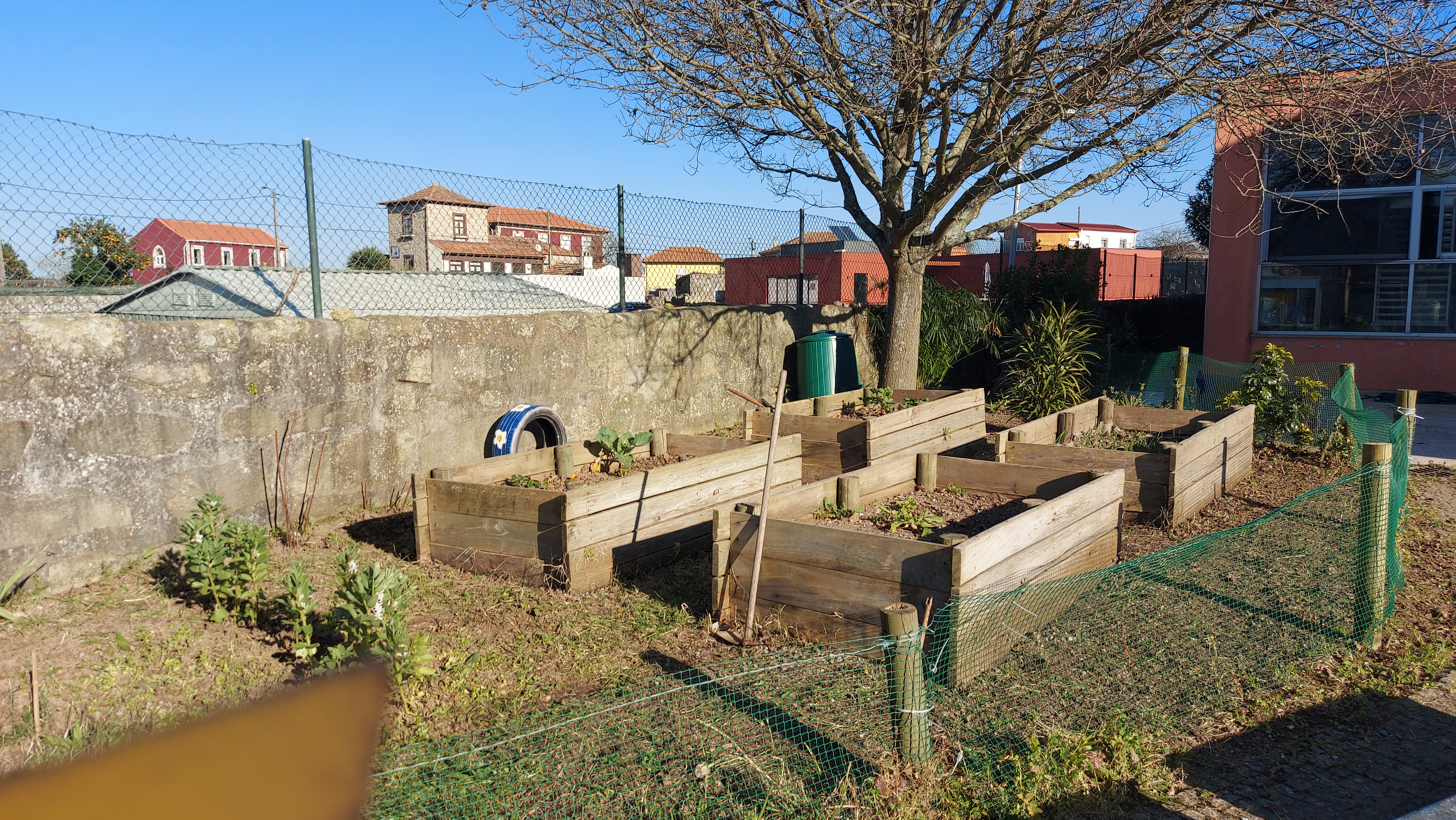 Horta após a limpeza
