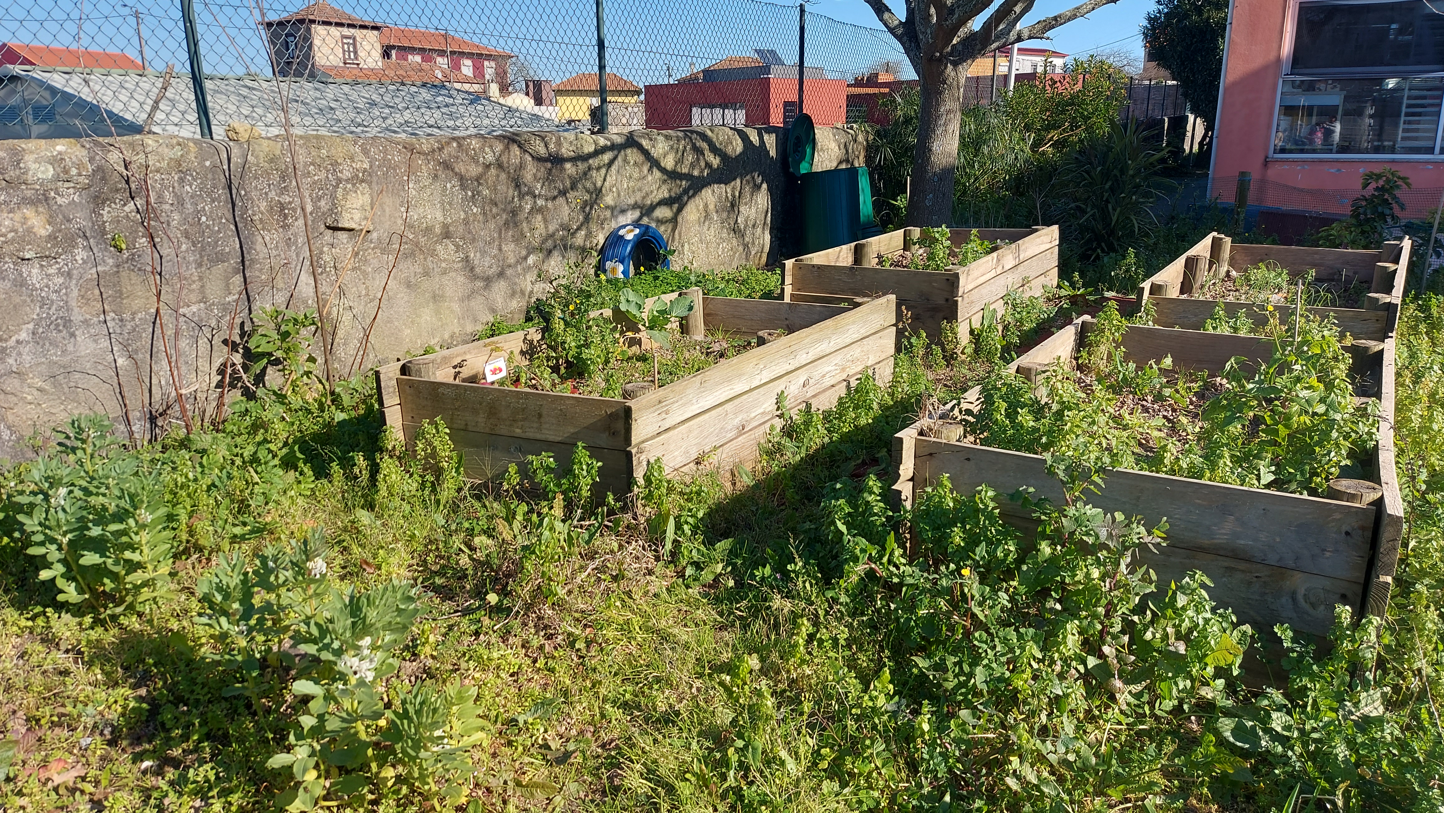 Horta por limpar