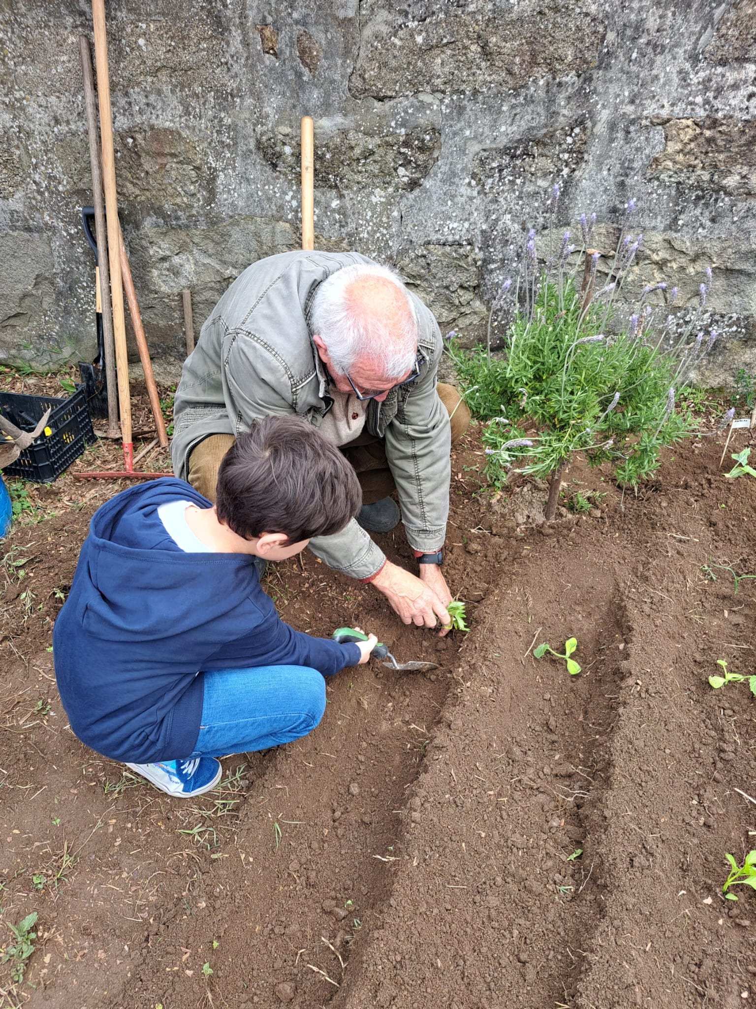 Plantação de hortícolas com a ajuda da família.