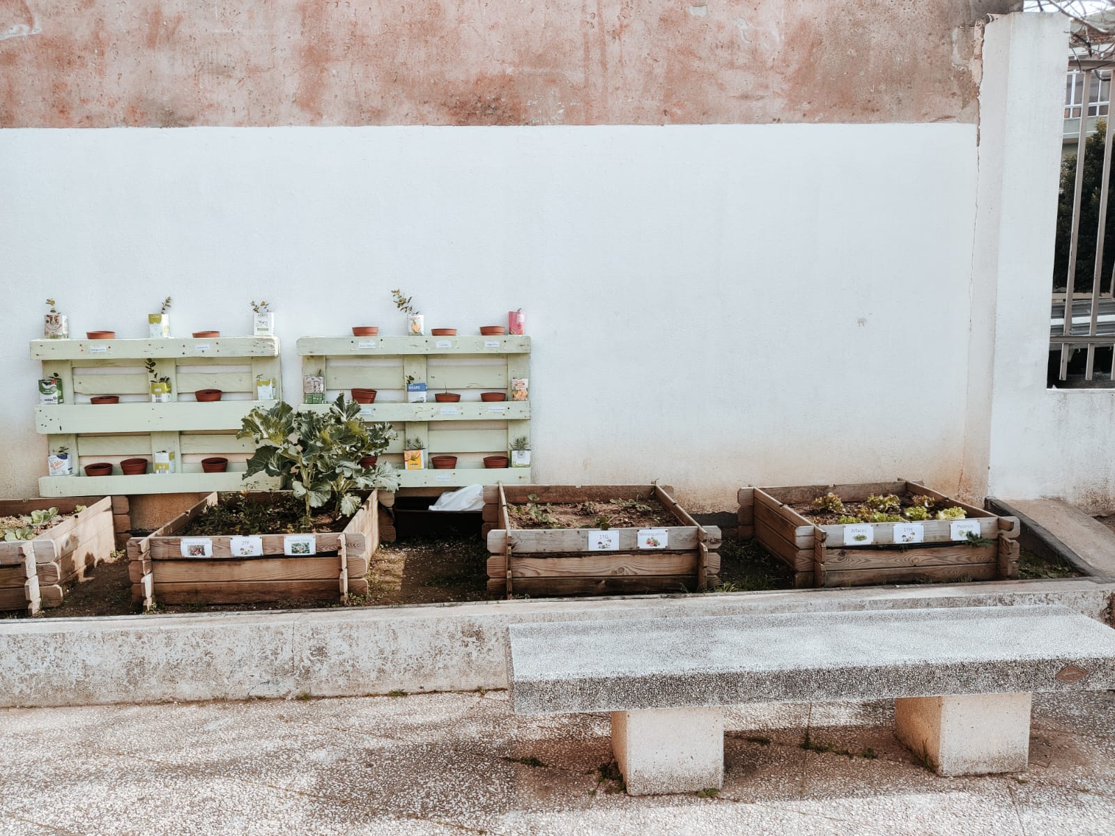Junto à parede, plantas aromáticas e pequenas árvores.