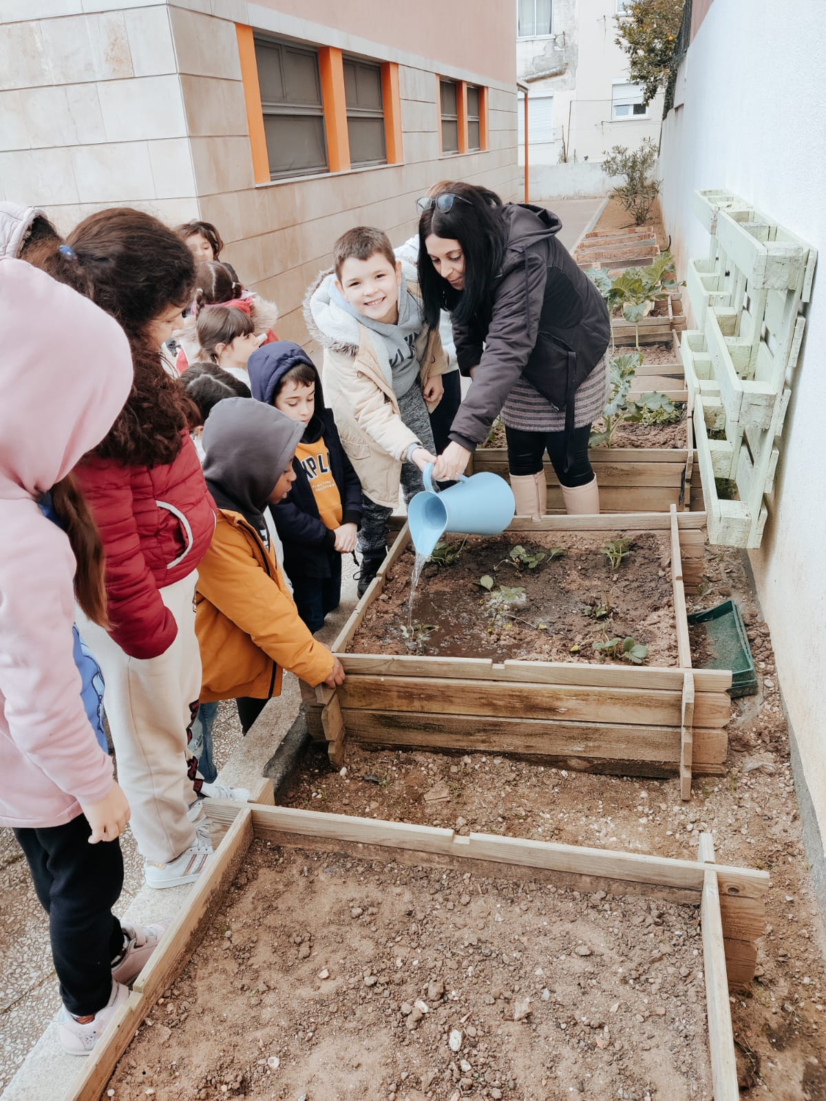 Alunos a regar os morangos.